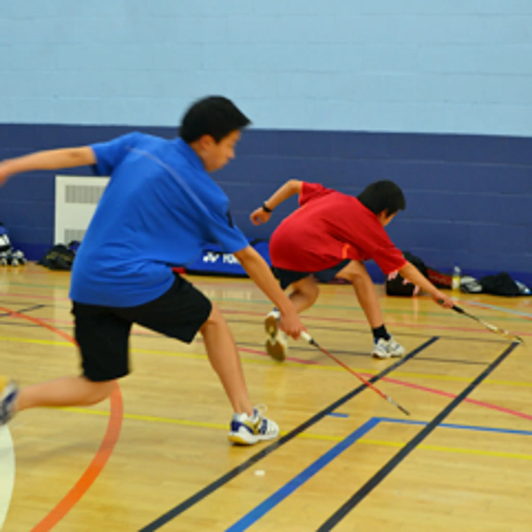 Hurst Badminton club