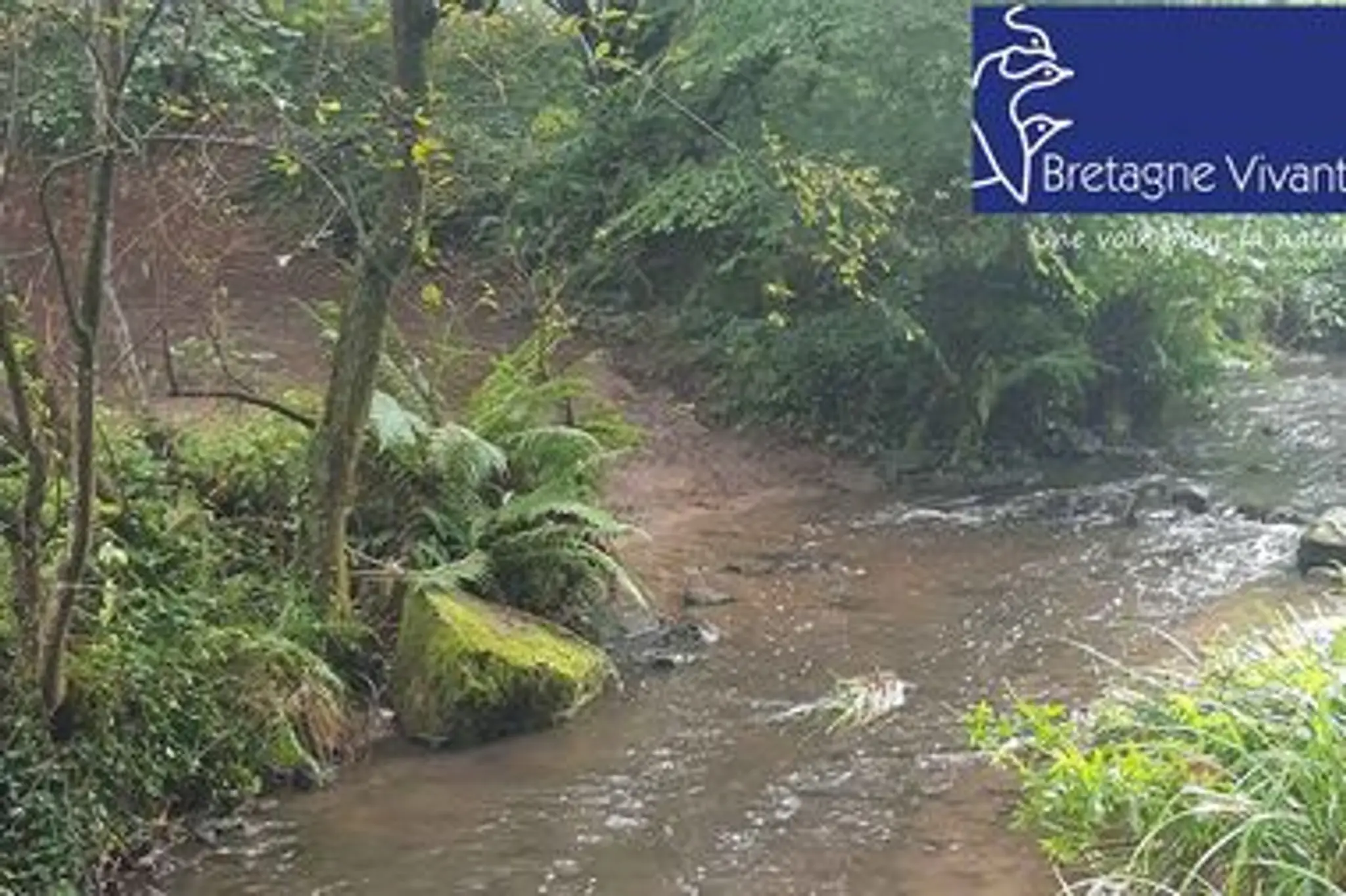 Salle Omnisports de Keranna