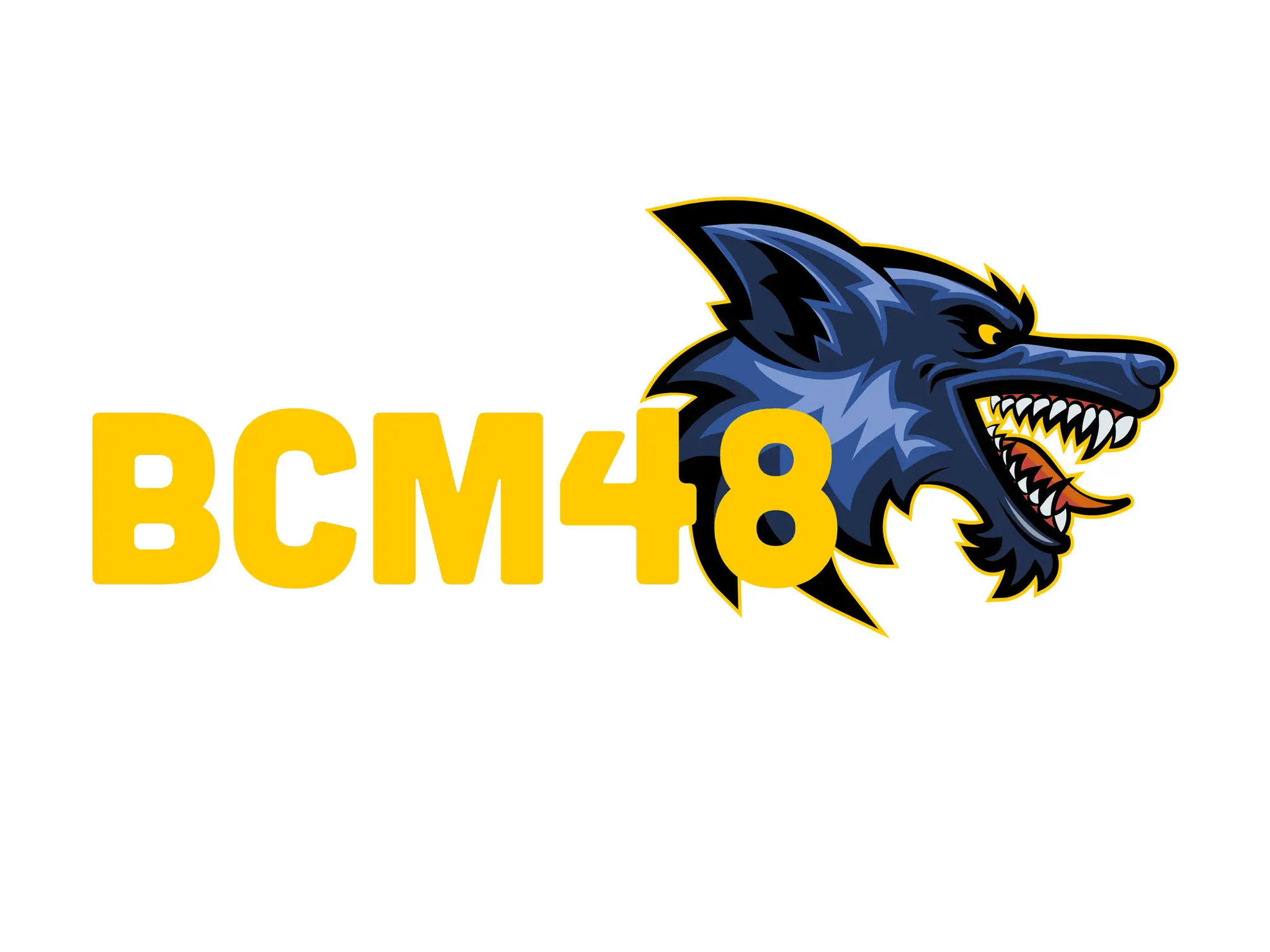 BCM48 - Basket Causses Mendois