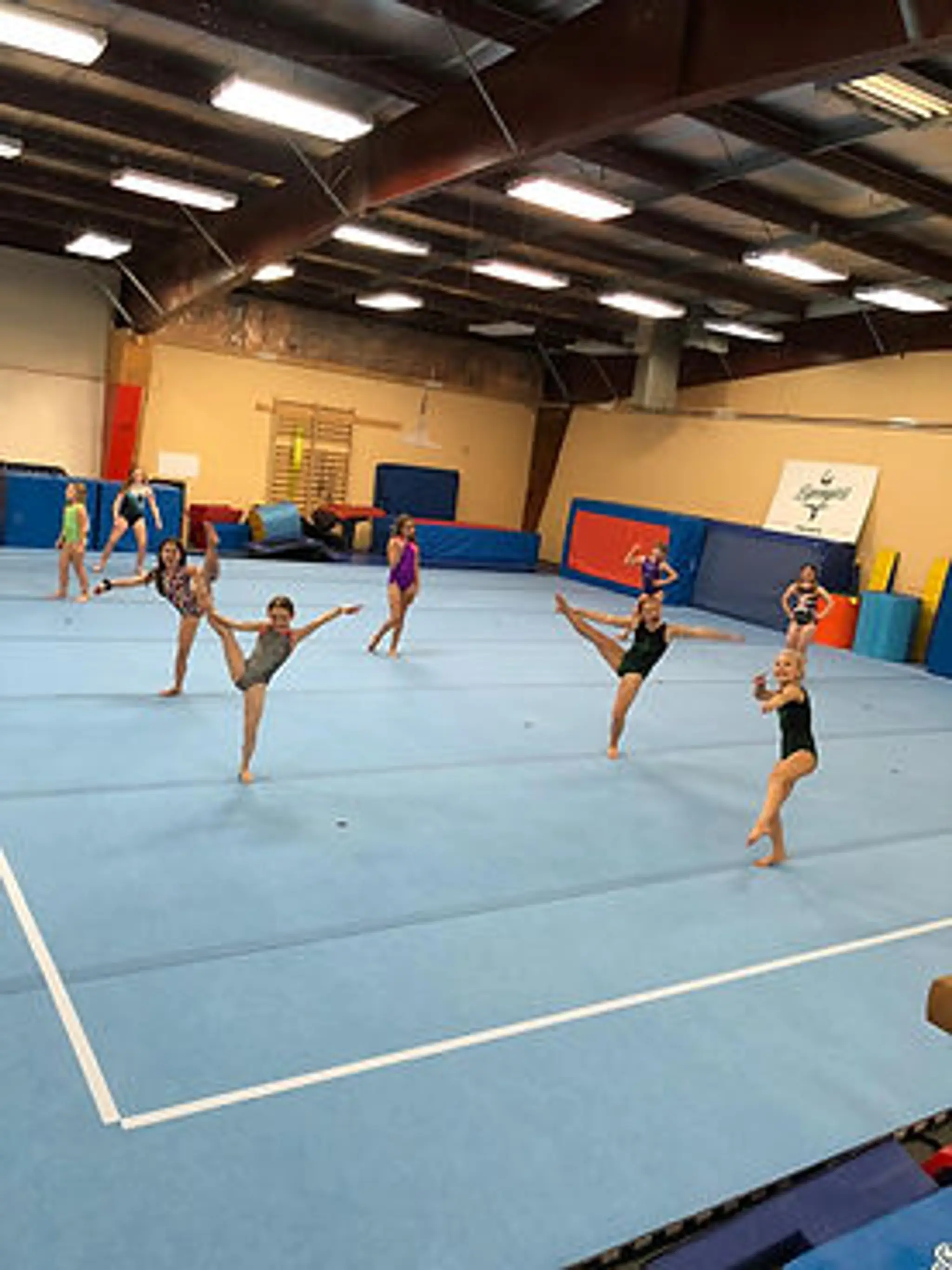 Springers Gymnastics