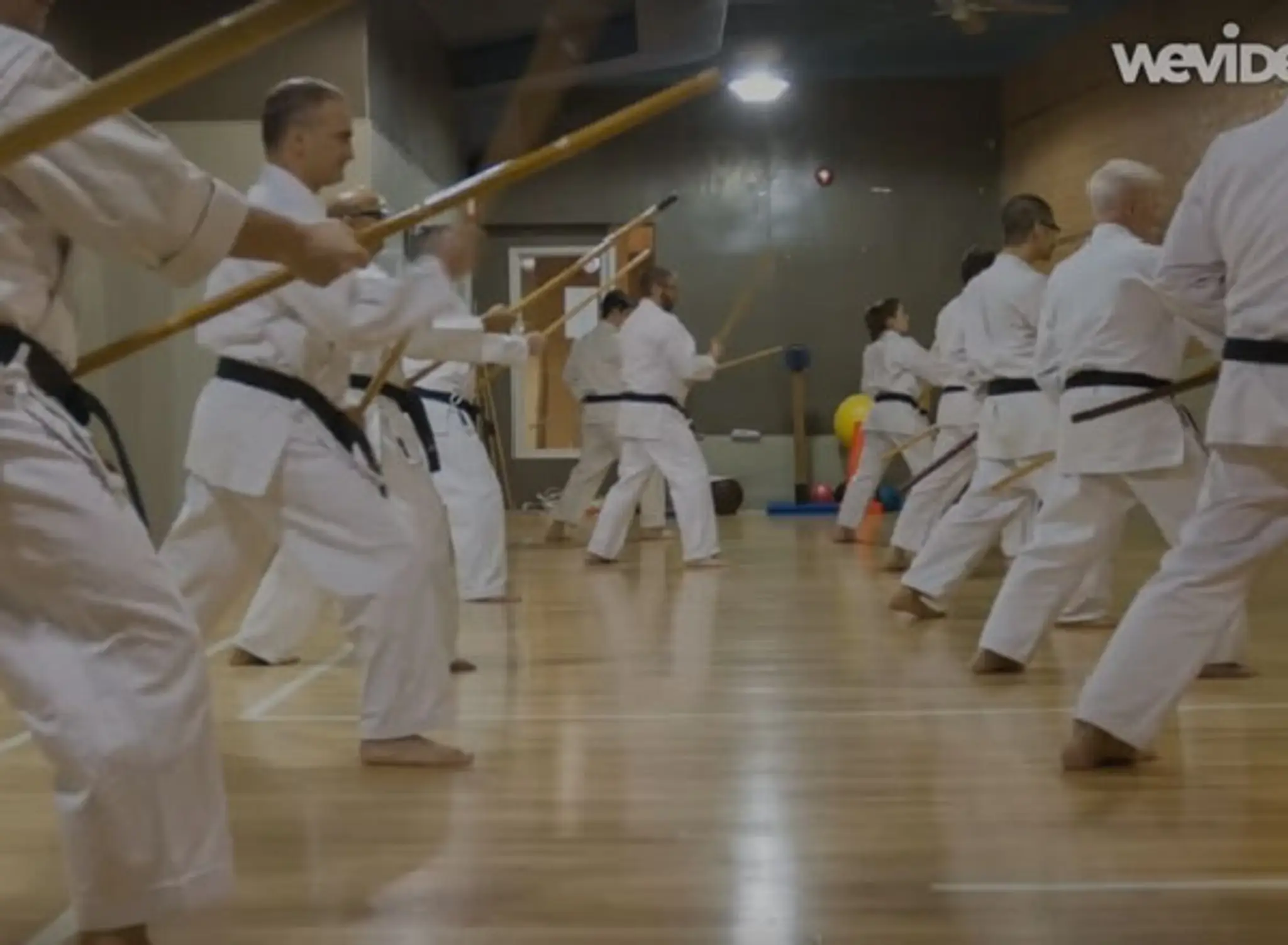 Academy of Martial Arts