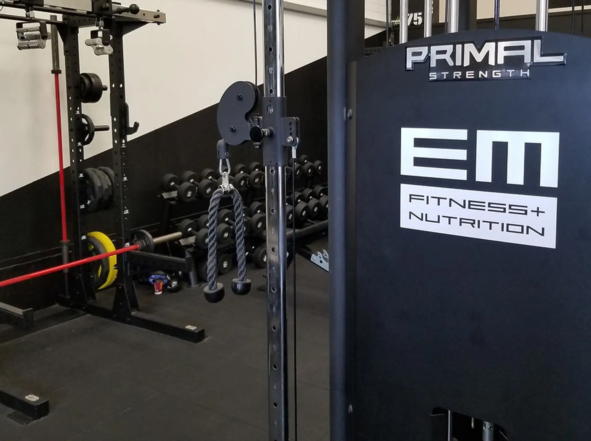 EM Fitness and Nutrition