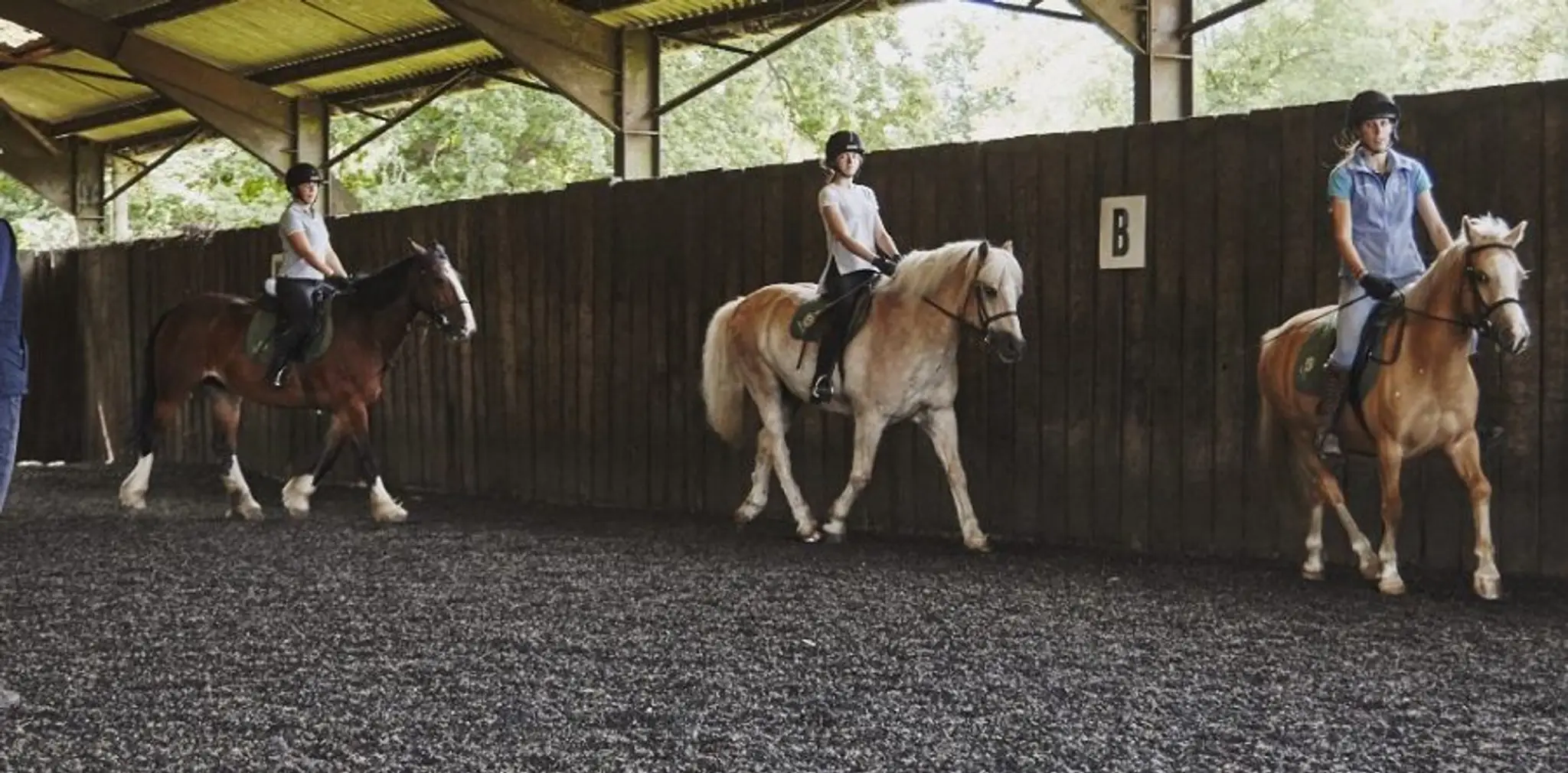 High Beech Riding School