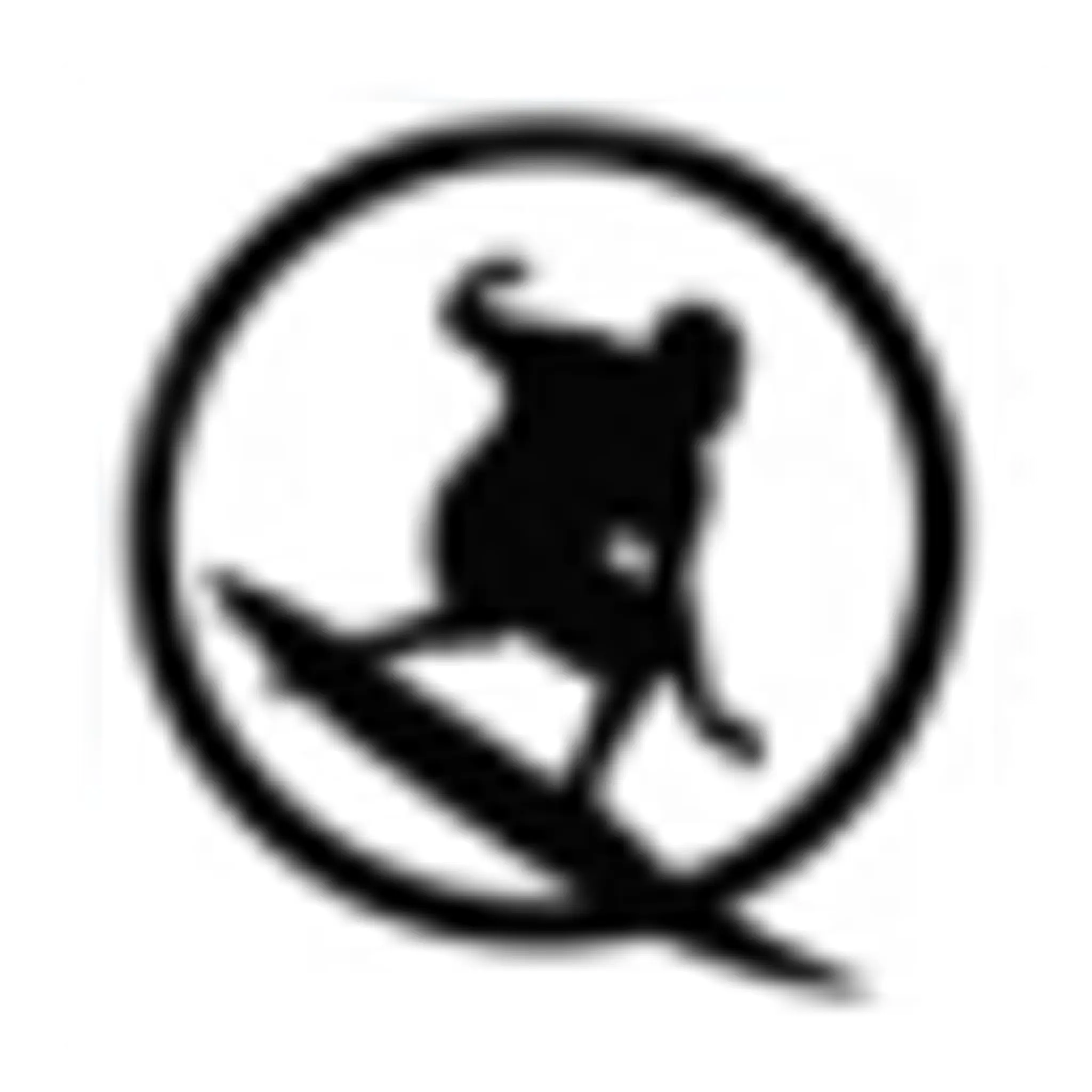 Surf School Moliets Soonline