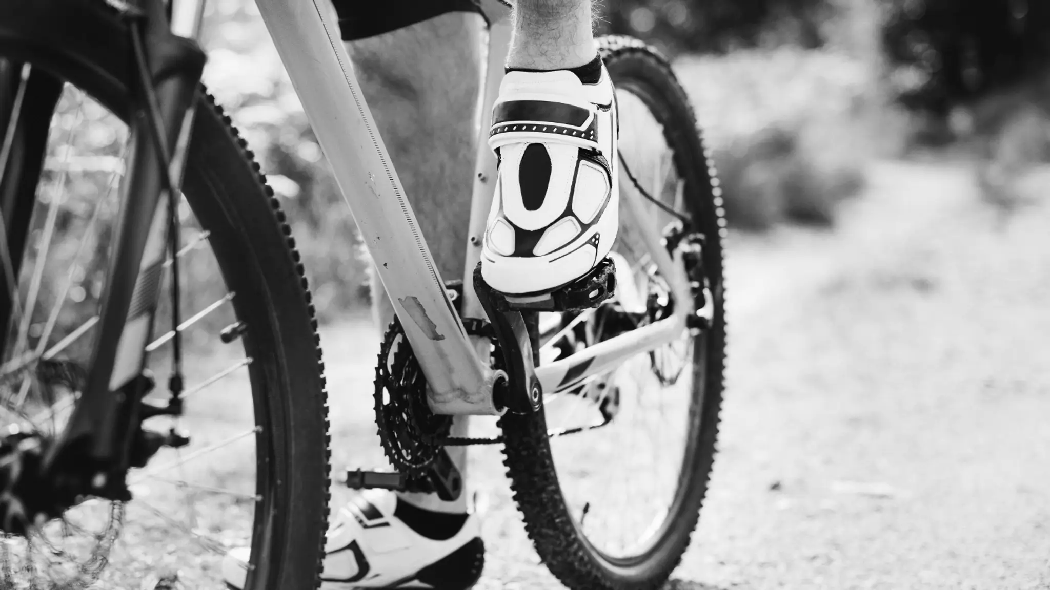 Velocrush India- Cycling Classes, Rental, Repair and Events