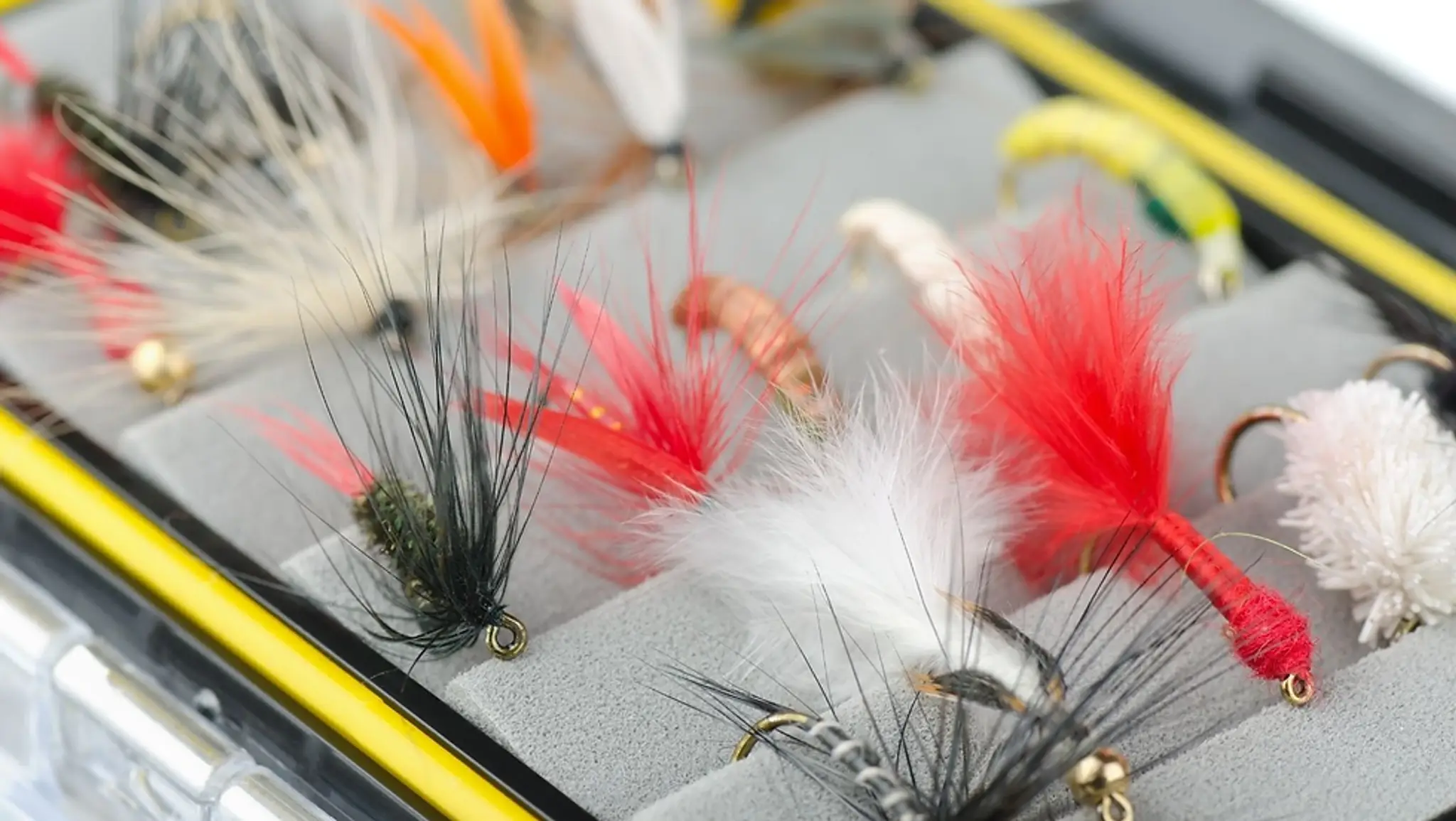 Richmond Golden Rods and Reels Society