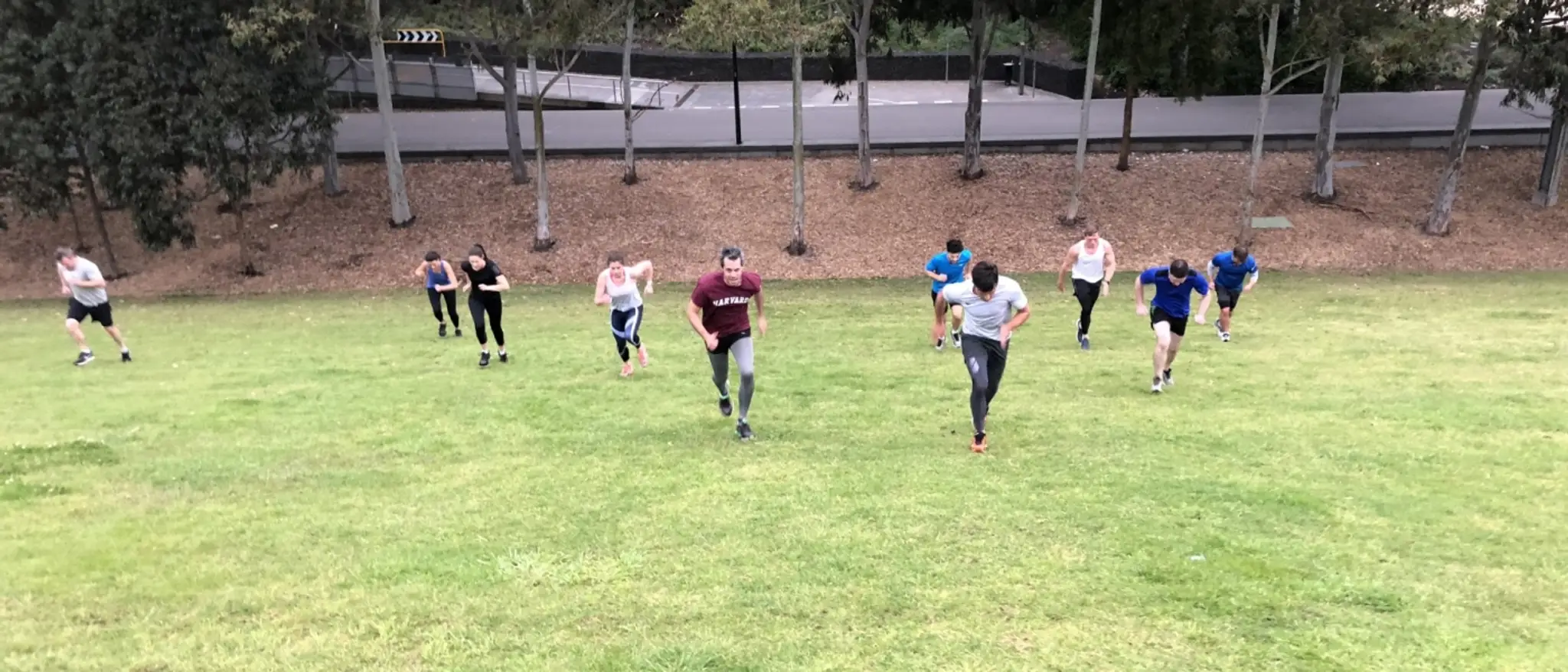 Healthy Switch Sandringham