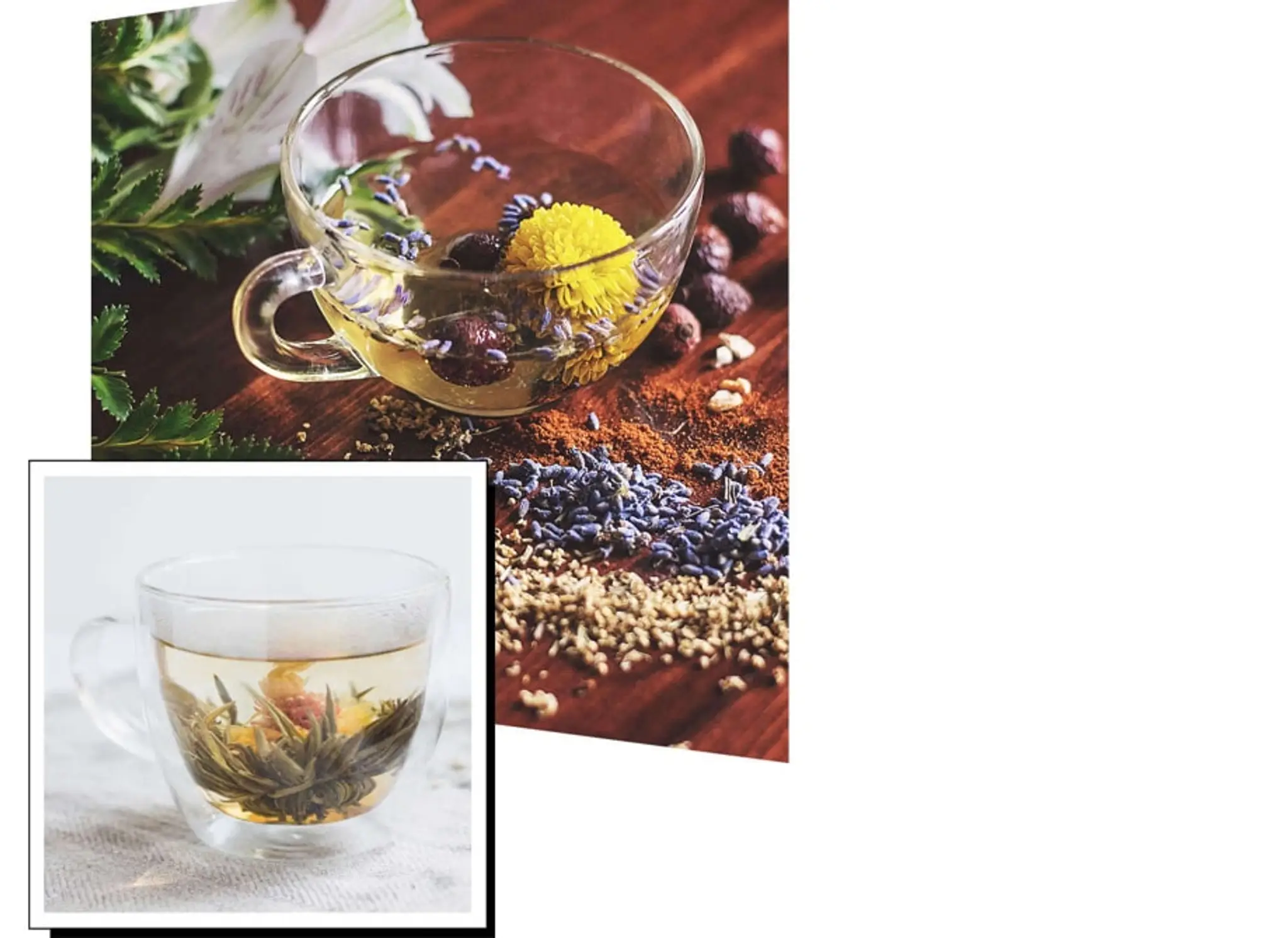 Lords Ayurveda Research Center | Panchakarma courses in kerala | Ayurveda courses in kerala