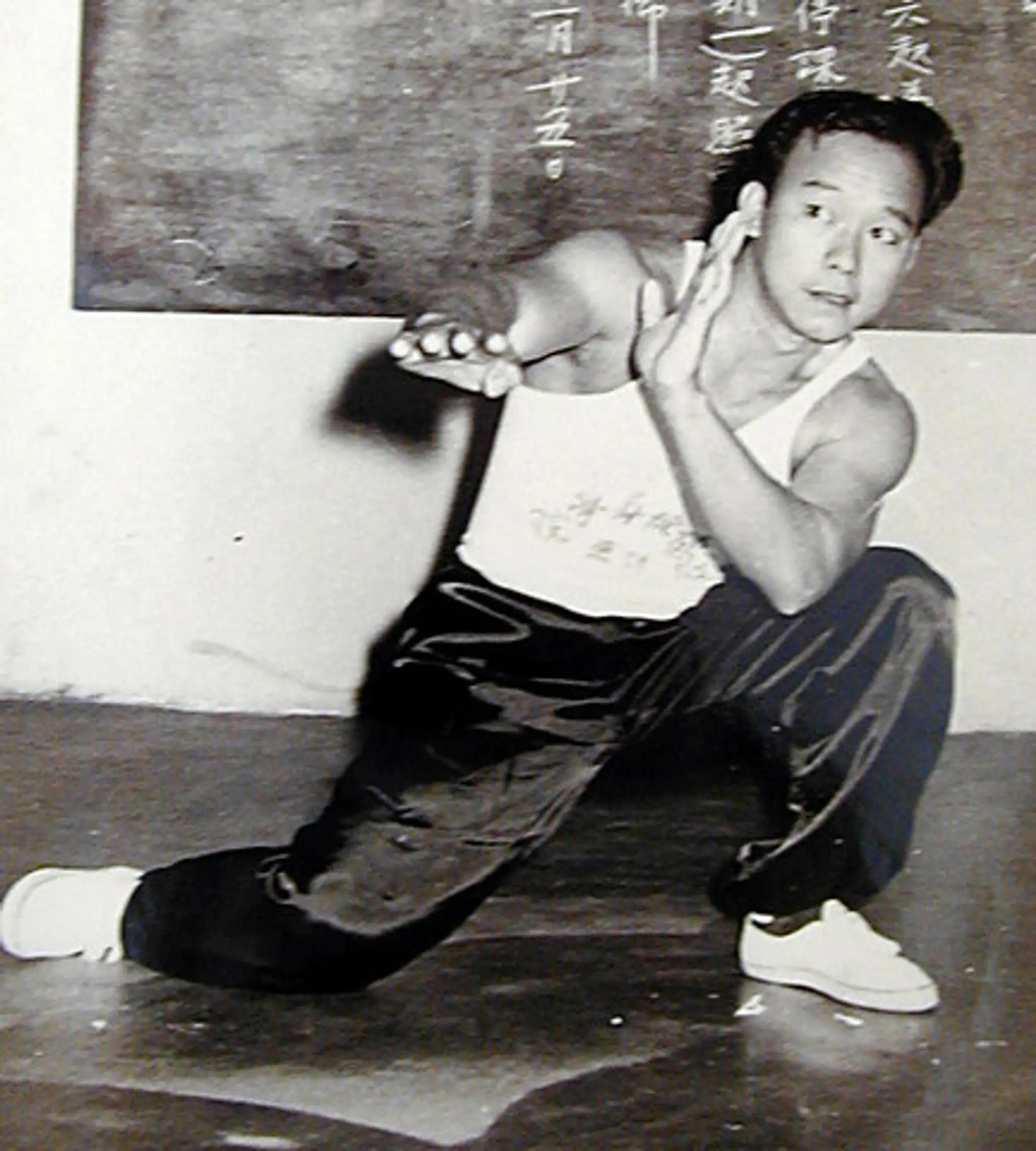 Kungfustjerome.com