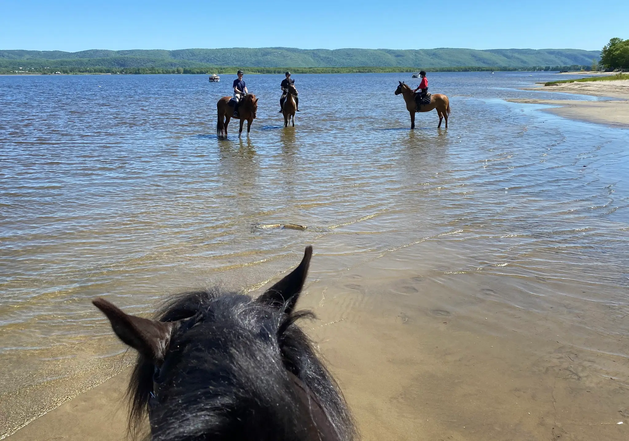 Meadowvale Farm Equestrian Centre