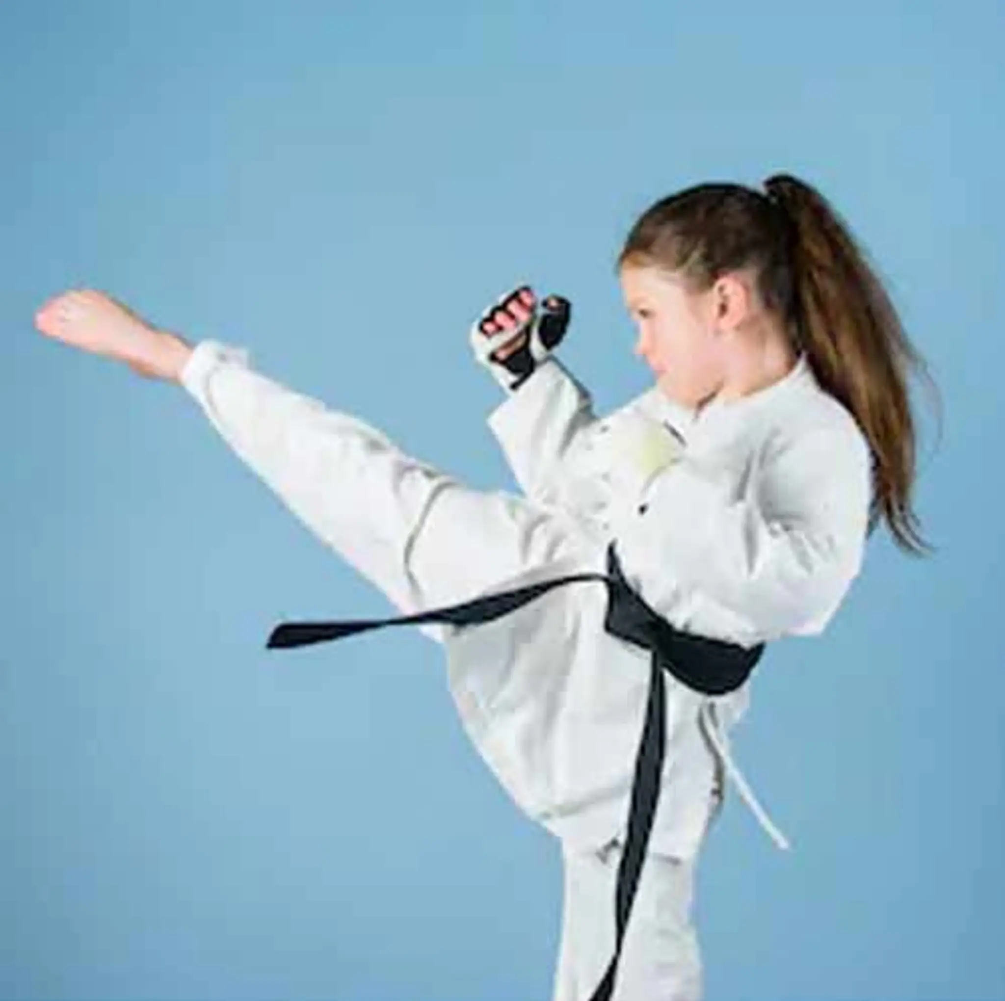 Shinseikyu Karate Academy