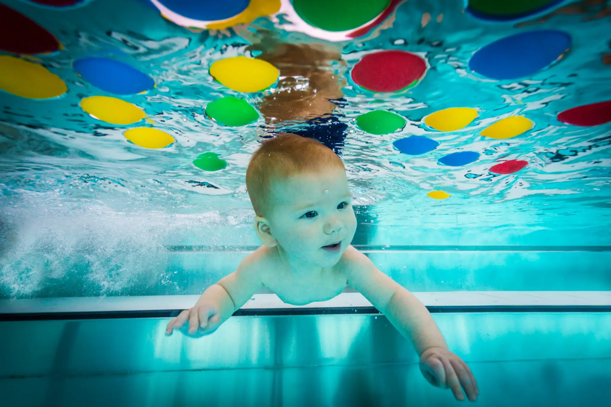 Liz van Welie Aquatics