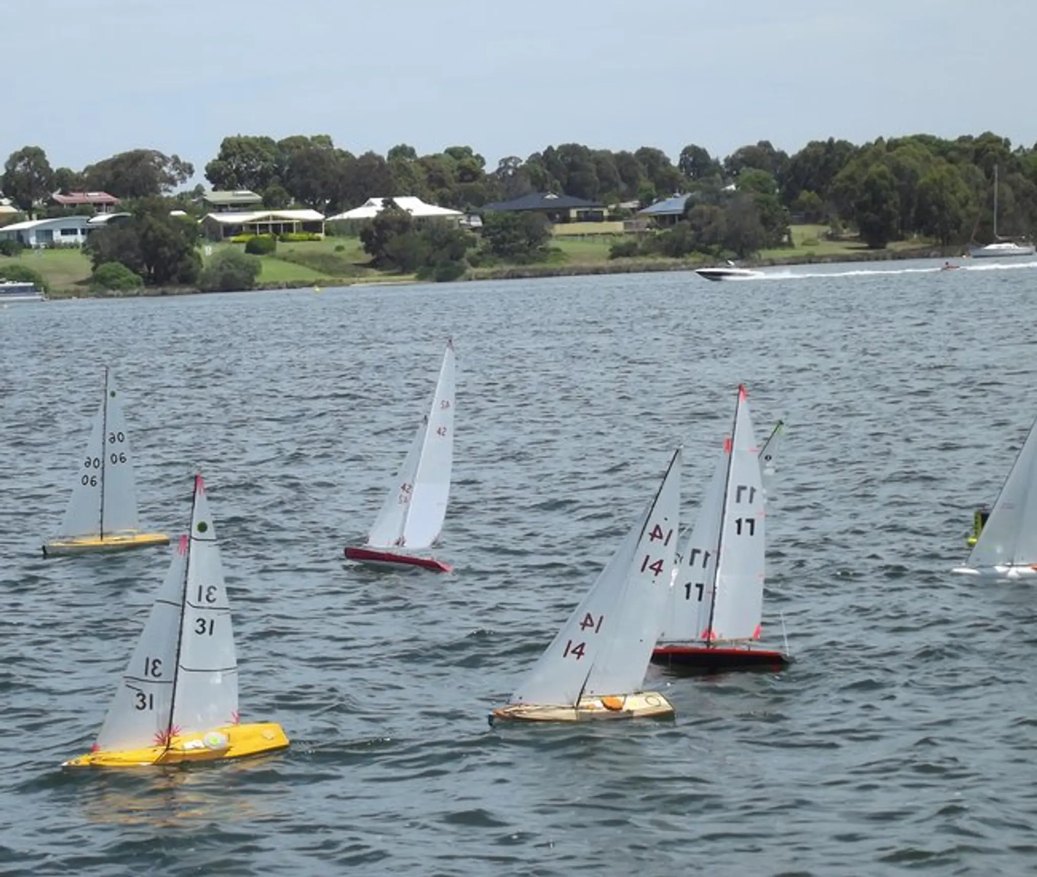 Nicholson Model Sailing Club