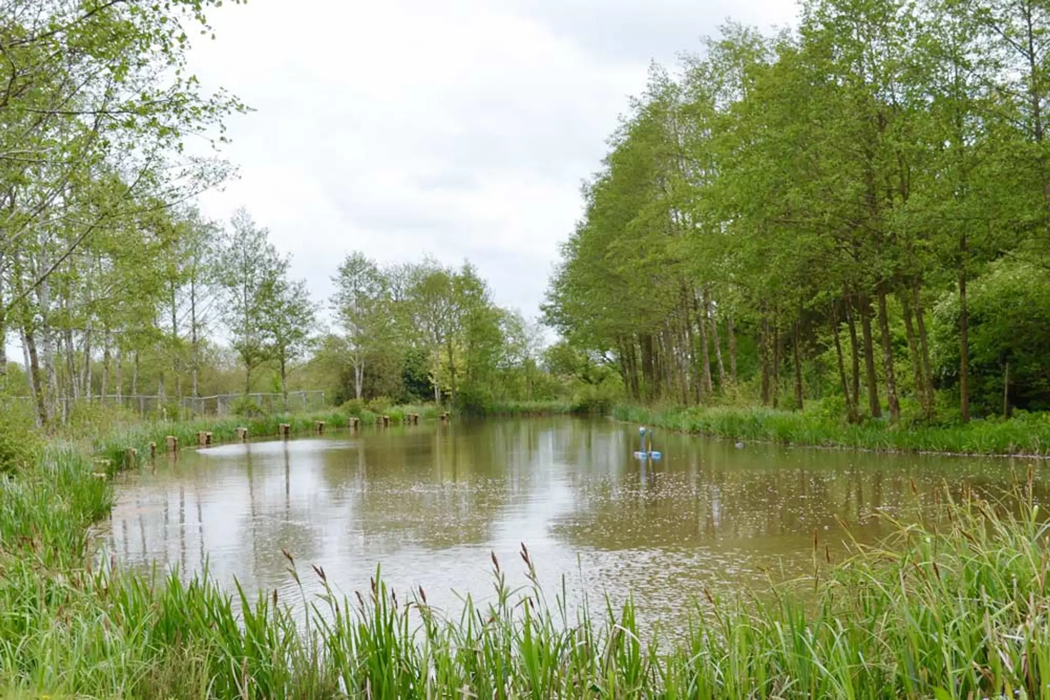 Alvechurch Fisheries