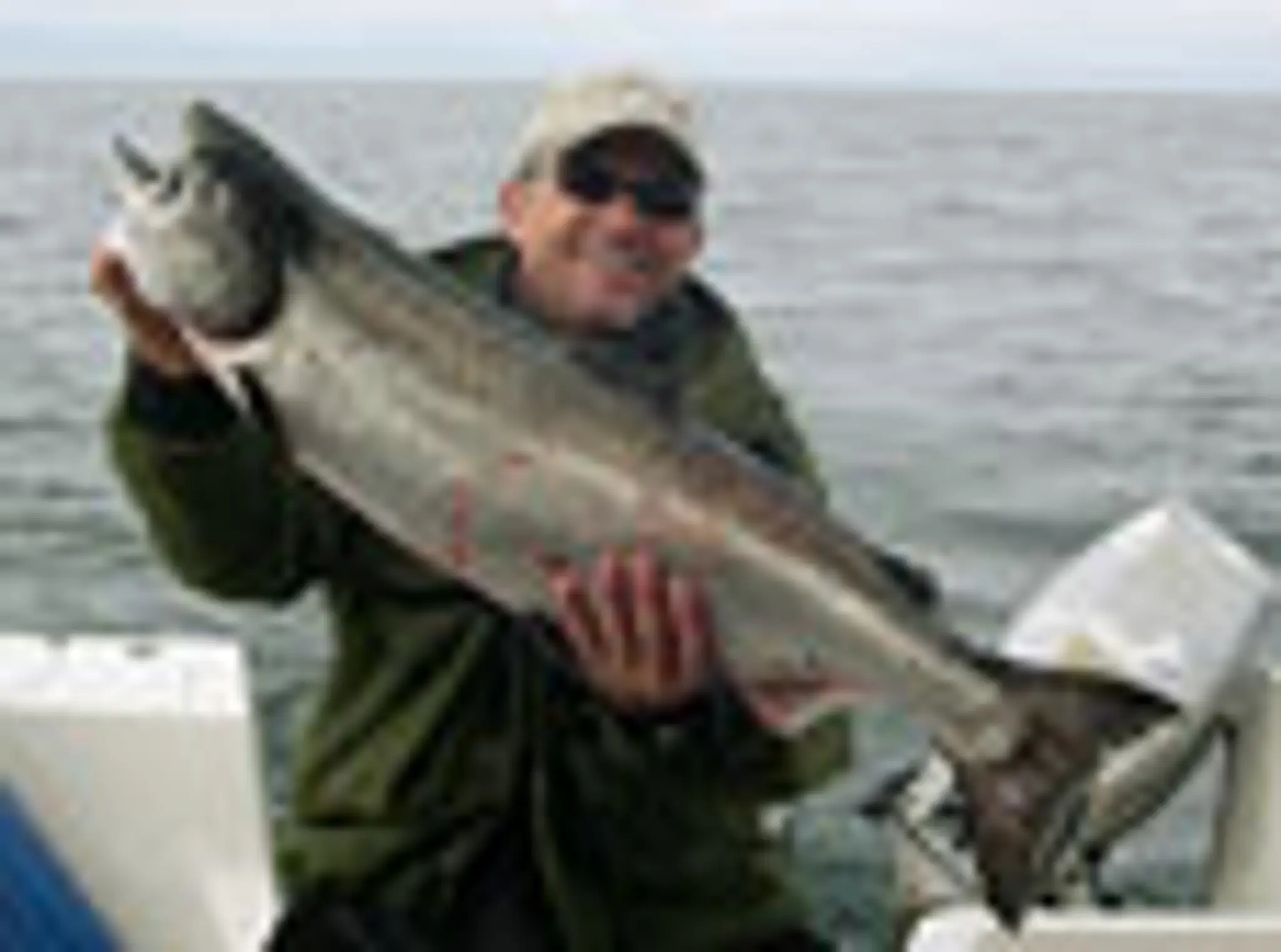 Ocean Dreams Charters