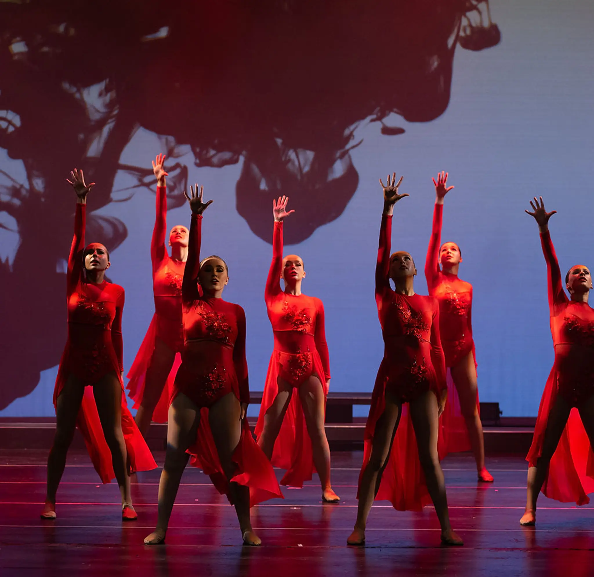 Anderson Dance Company