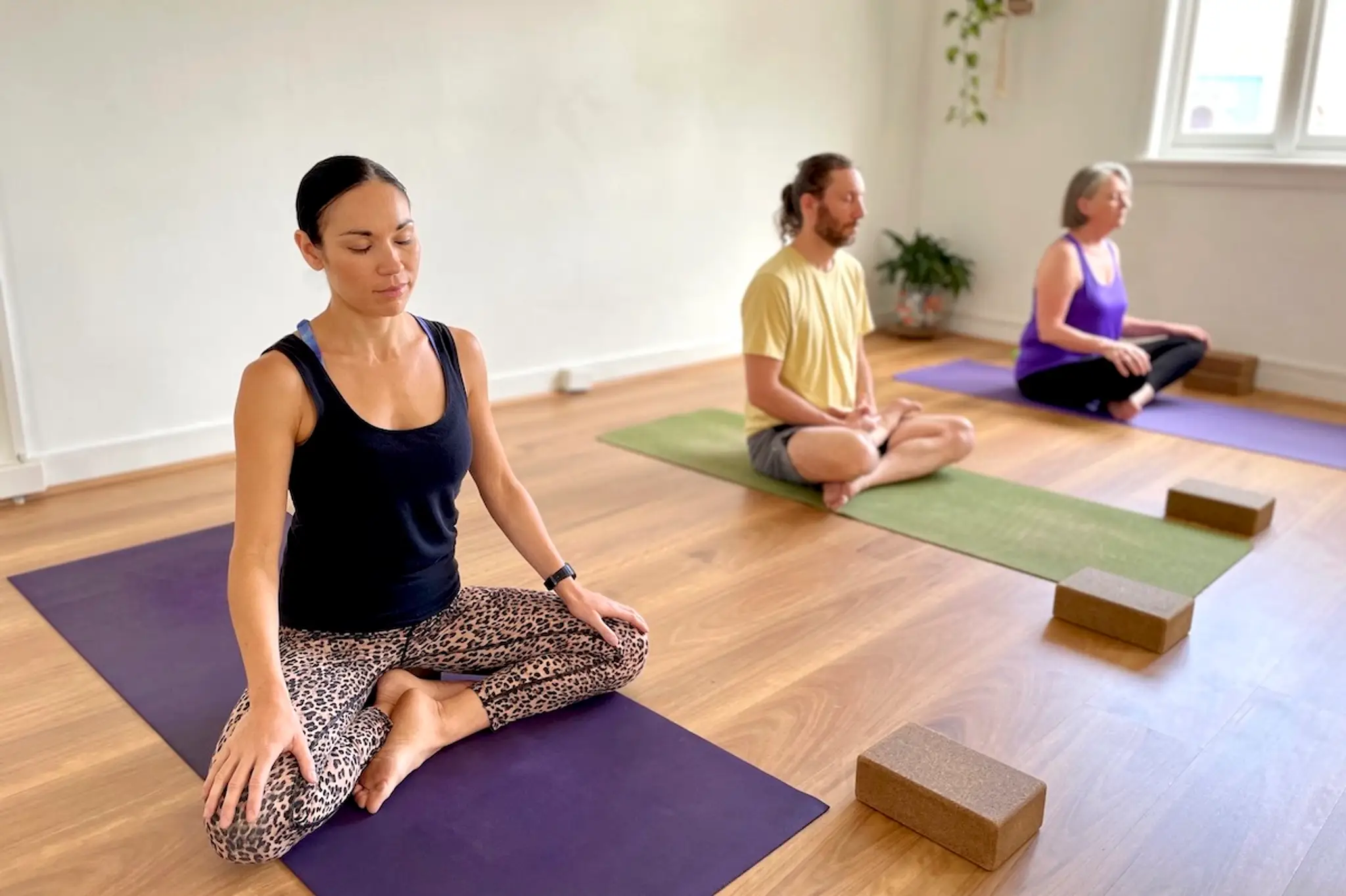 Living Flow Yoga Ashfield