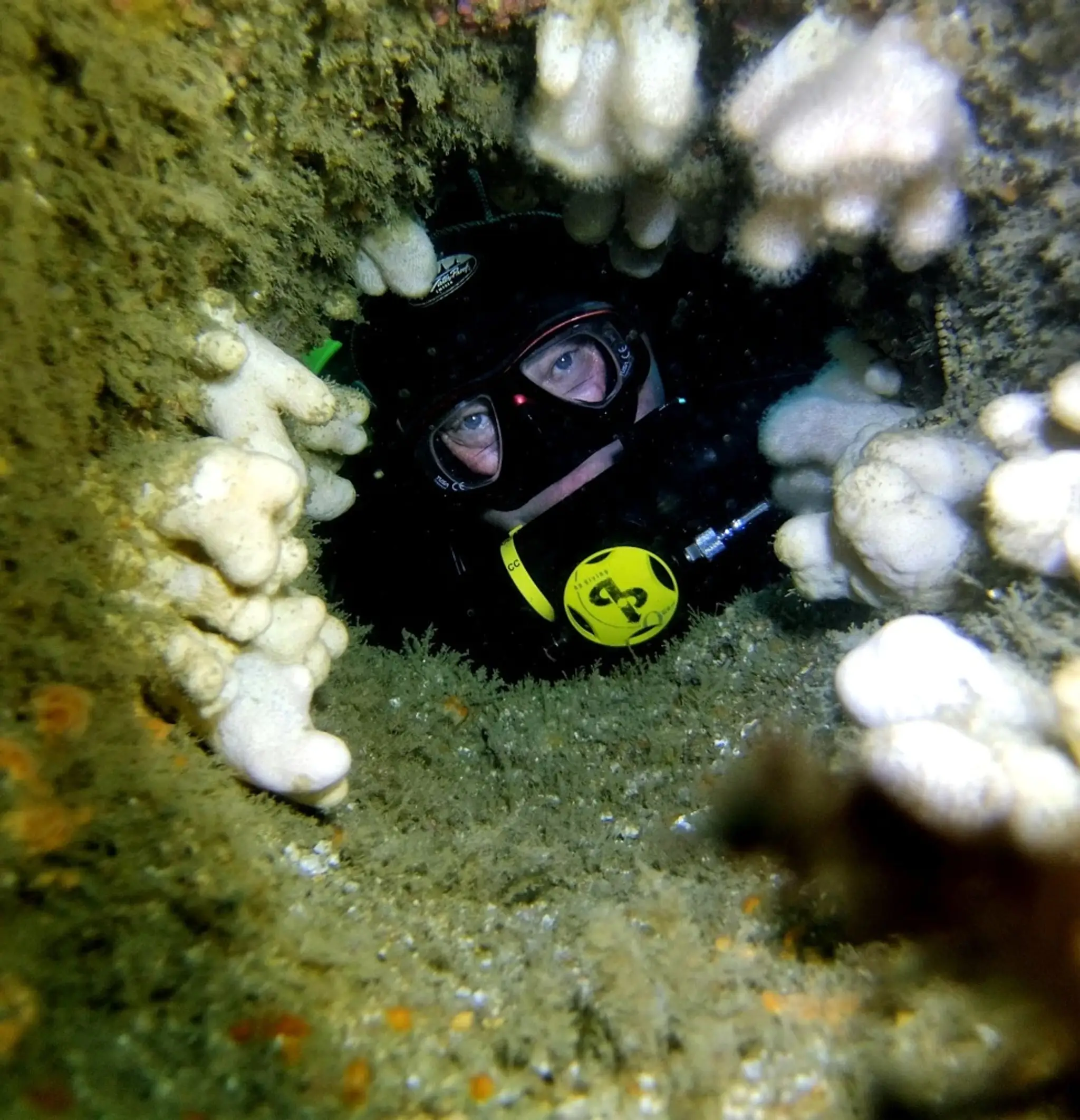 Silent Diving - Rebreather Sales And Training