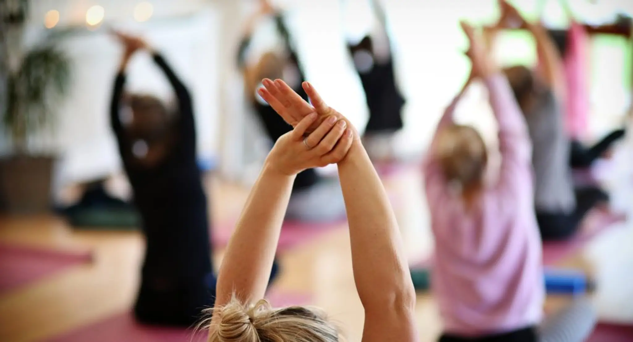 Akasha Yoga & Therapy