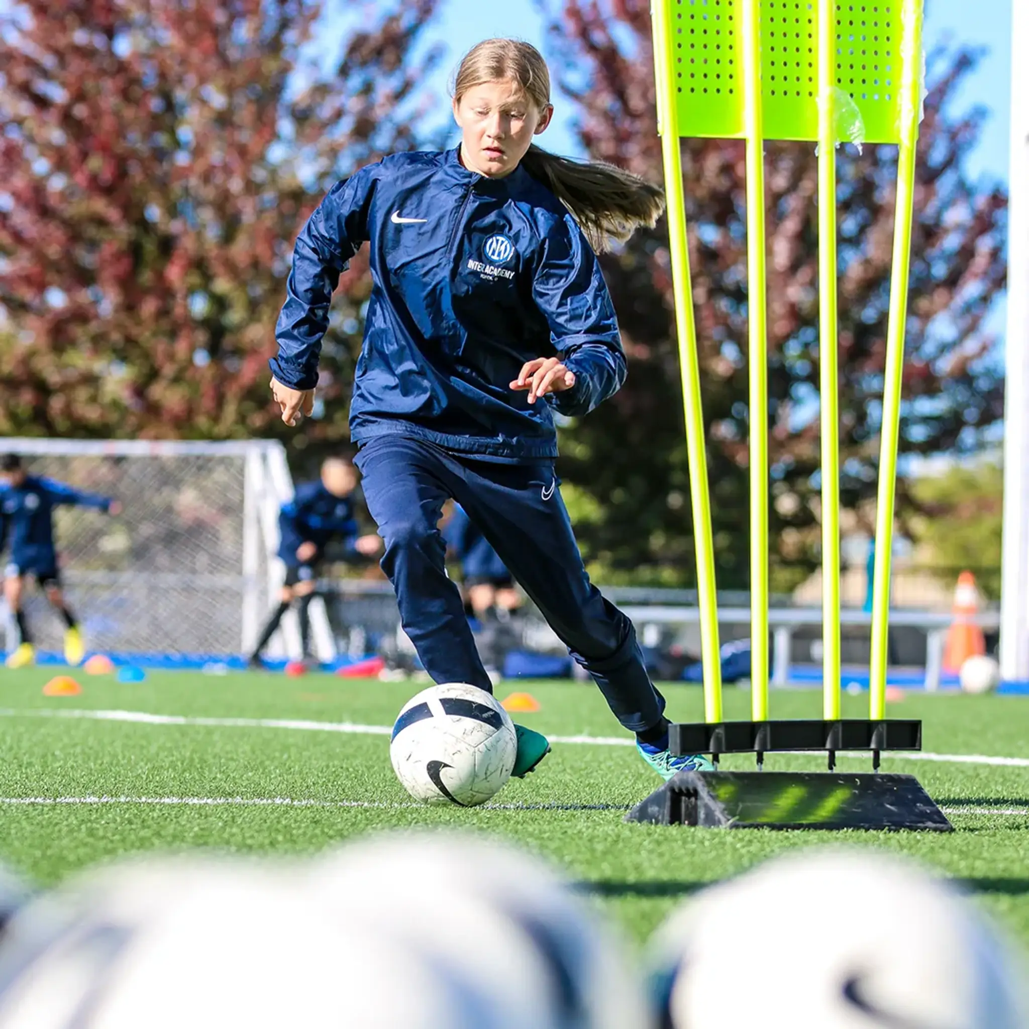 Inter Academy Toronto