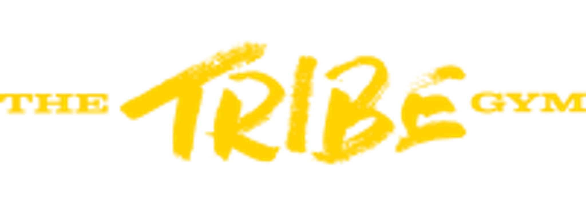 The Tribe Gym