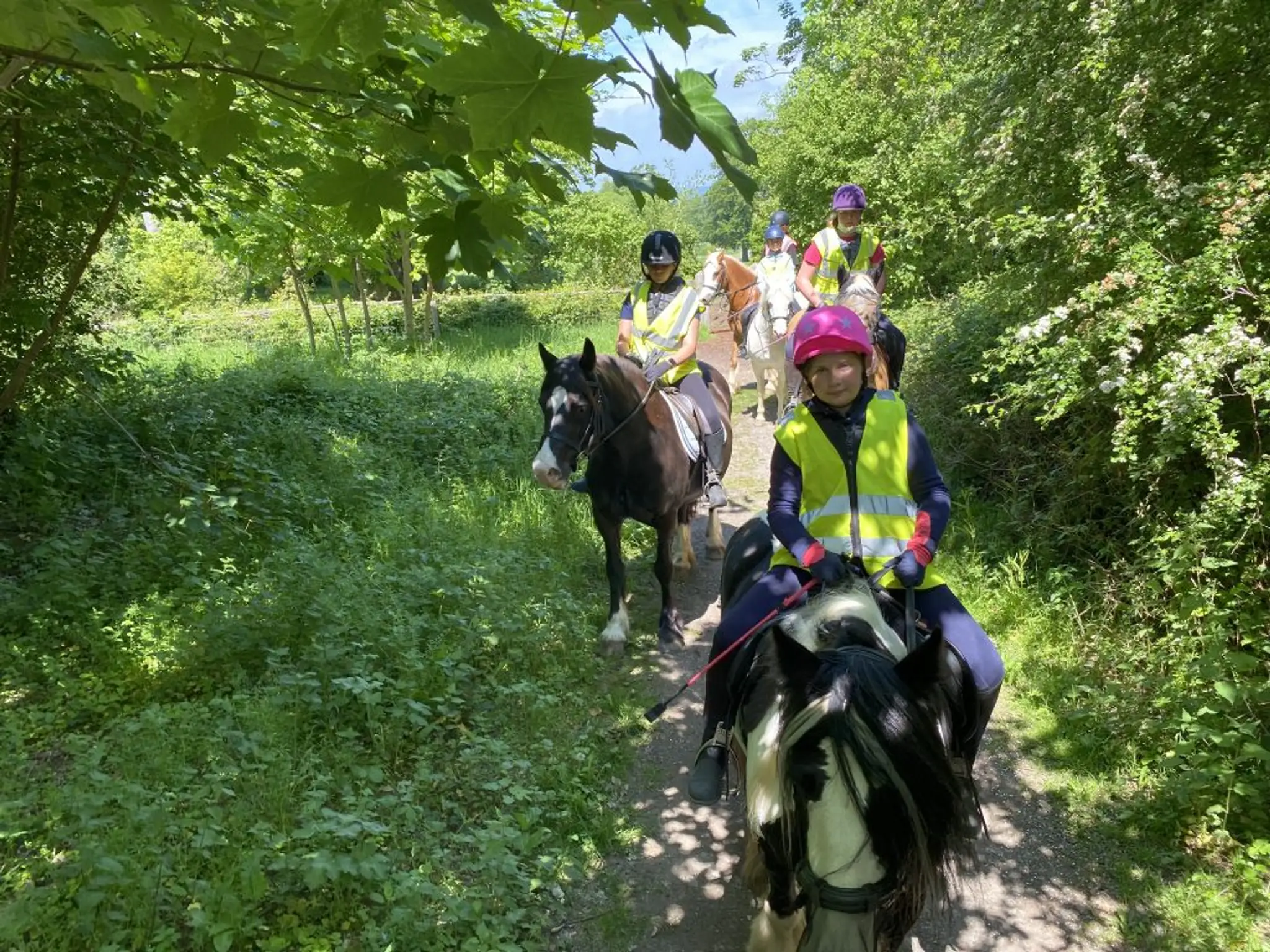 Wildwoods Riding Centre