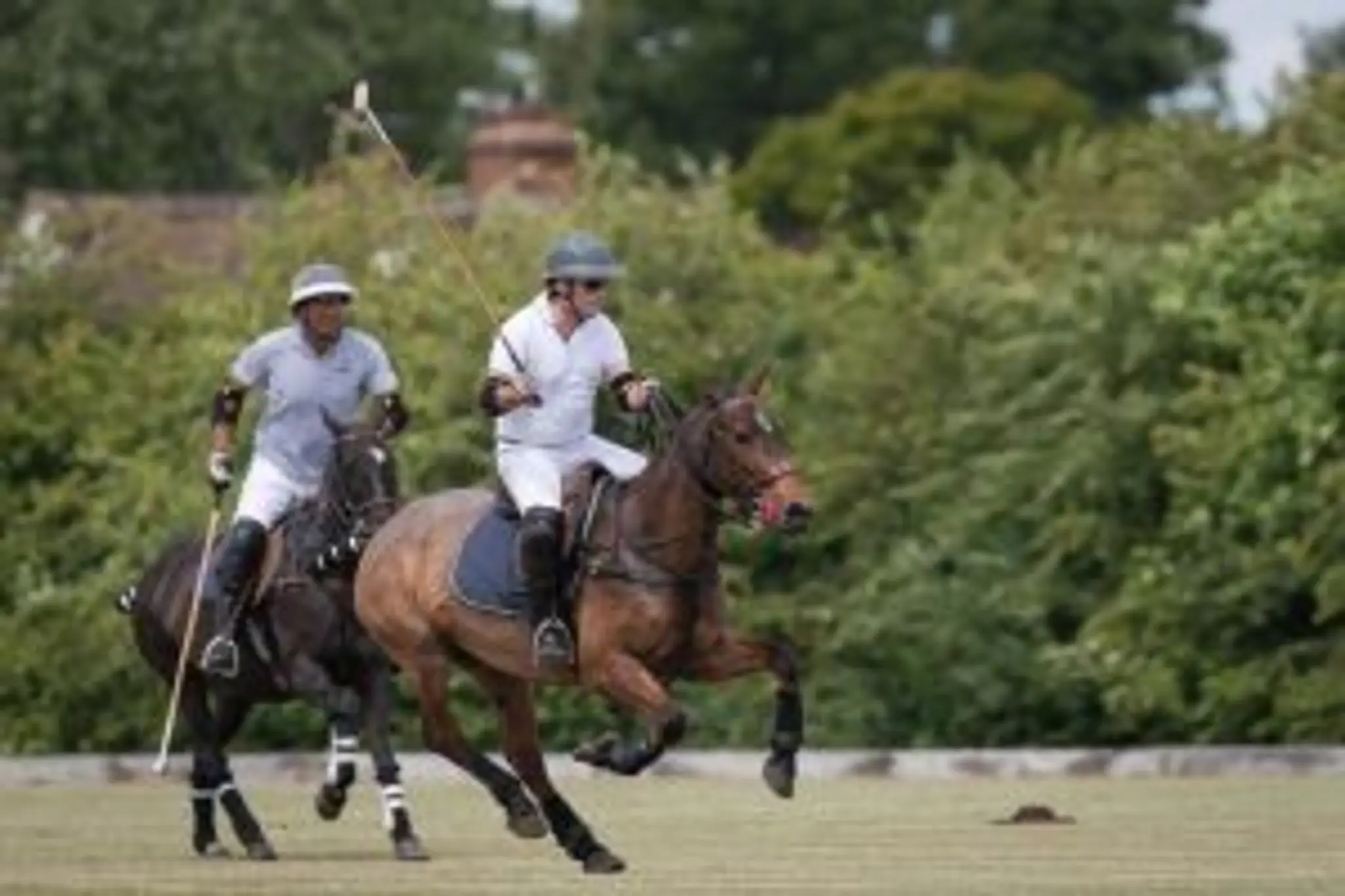 Fifield Polo Club