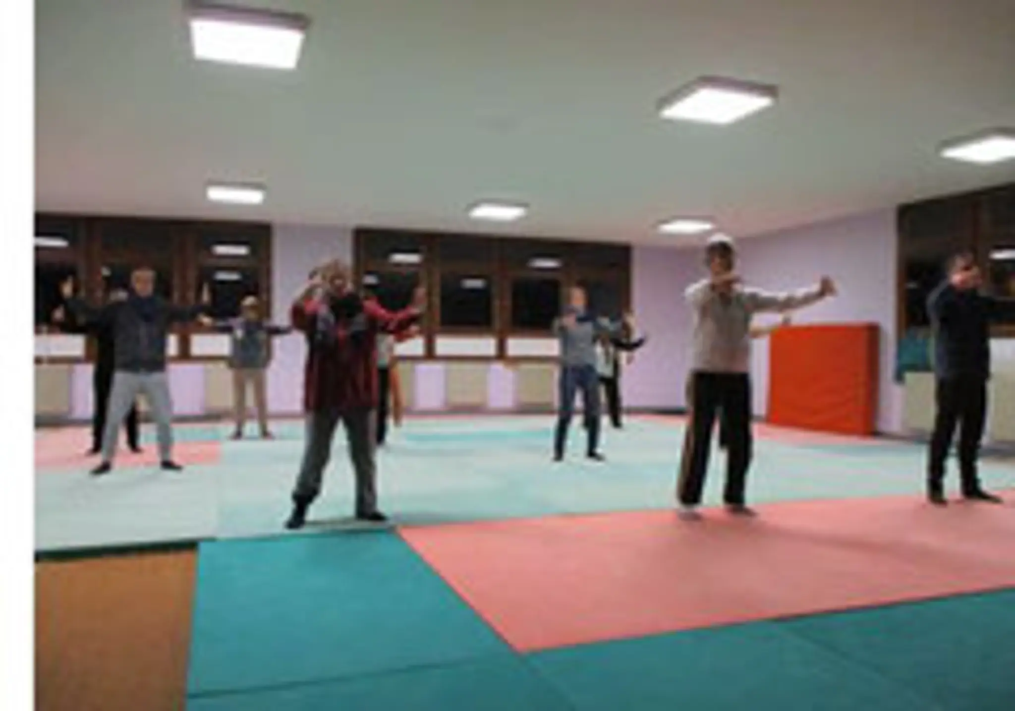 Section Taichi - JC Tinqueux