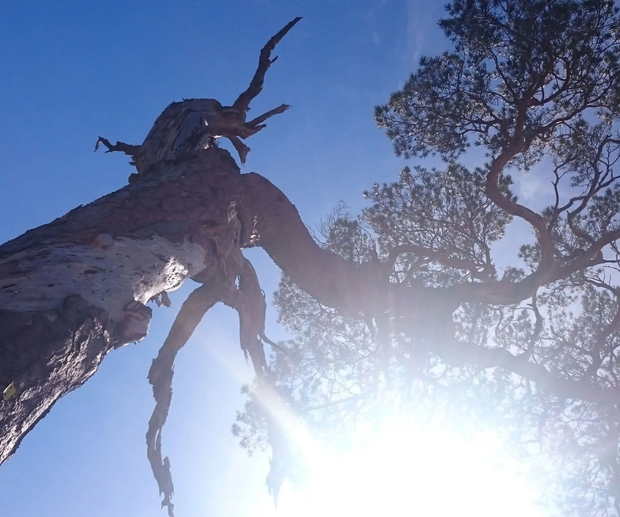 Boundless Sky Tai Chi