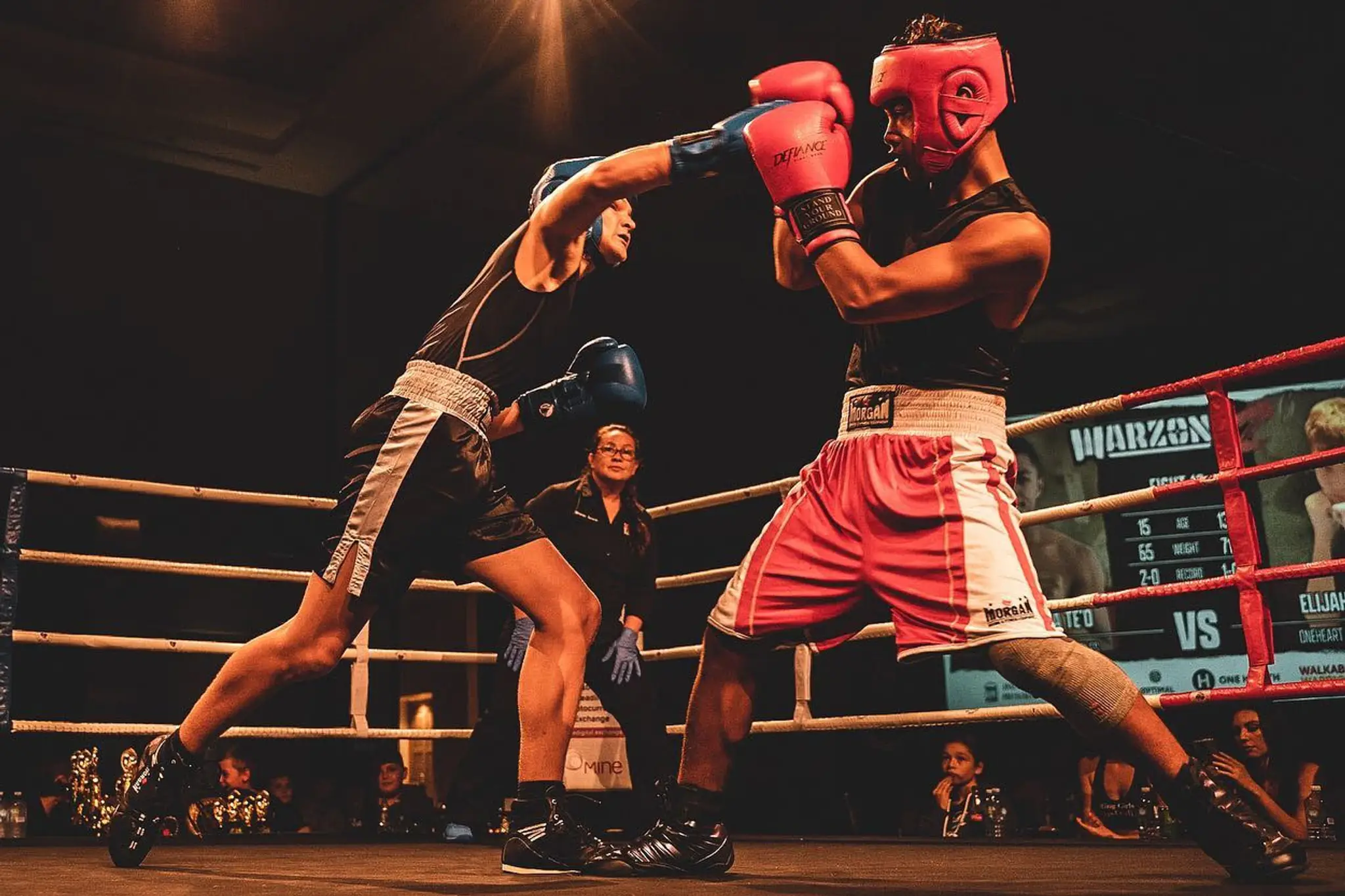 HIGH LEVEL BOXING GYM