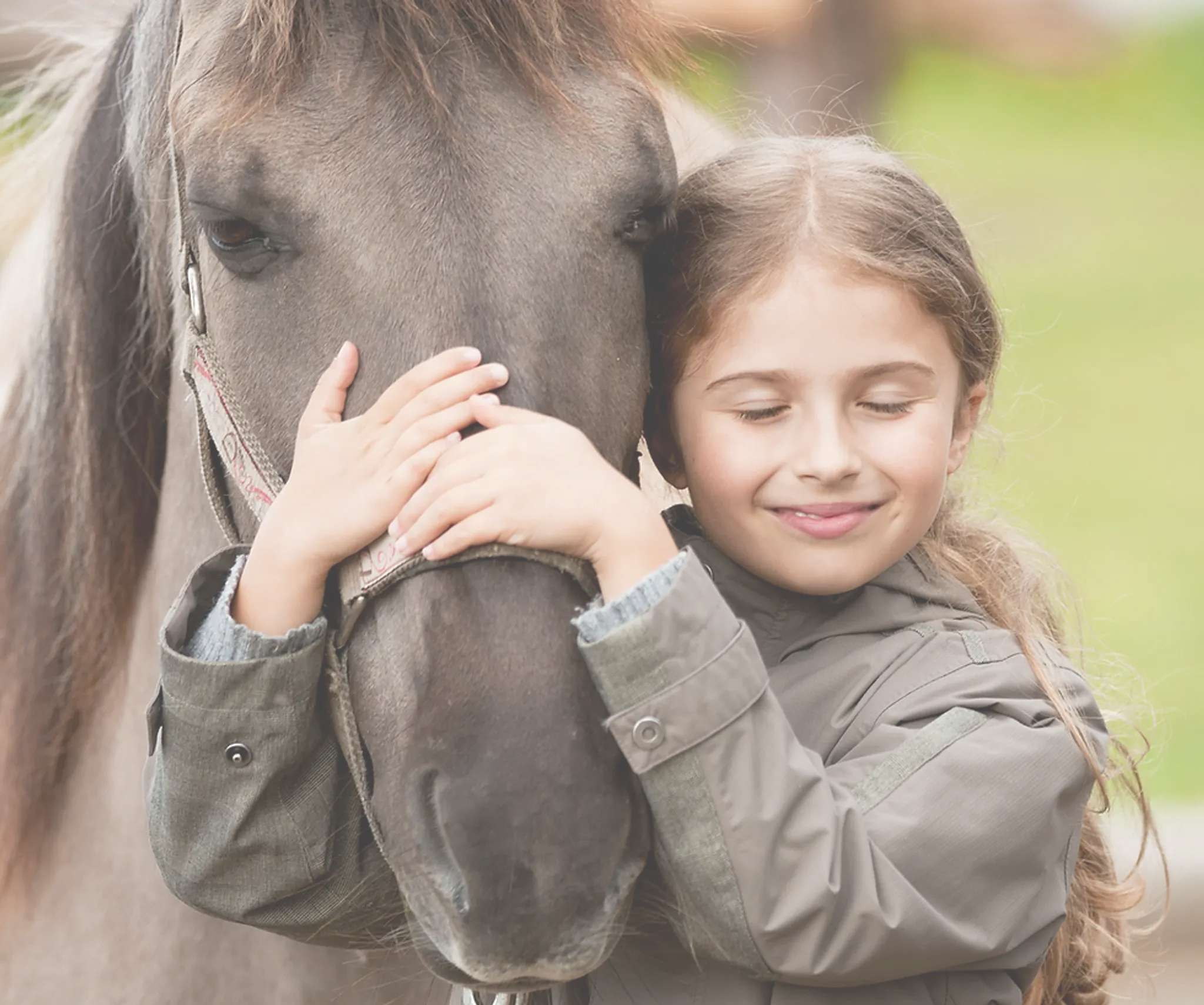 Ebony Cox Equine Services