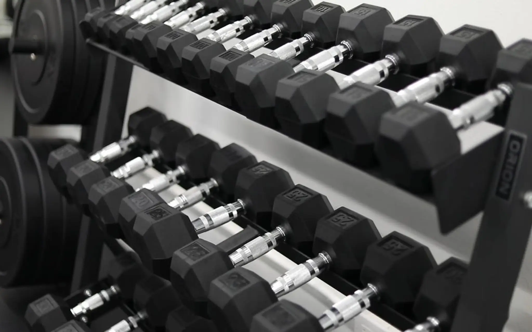 REP Training Studio