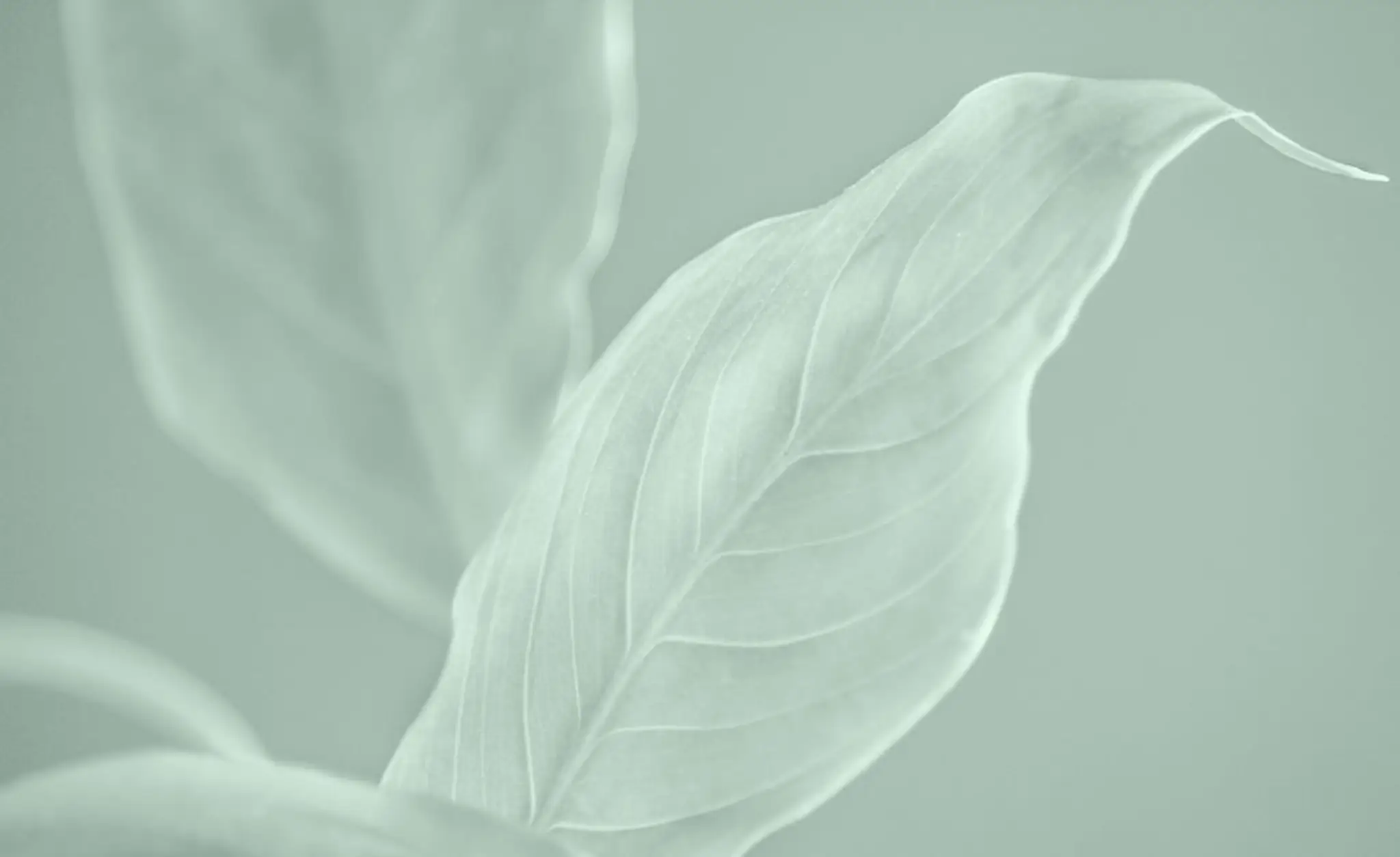 L'atelier Corps Et Art