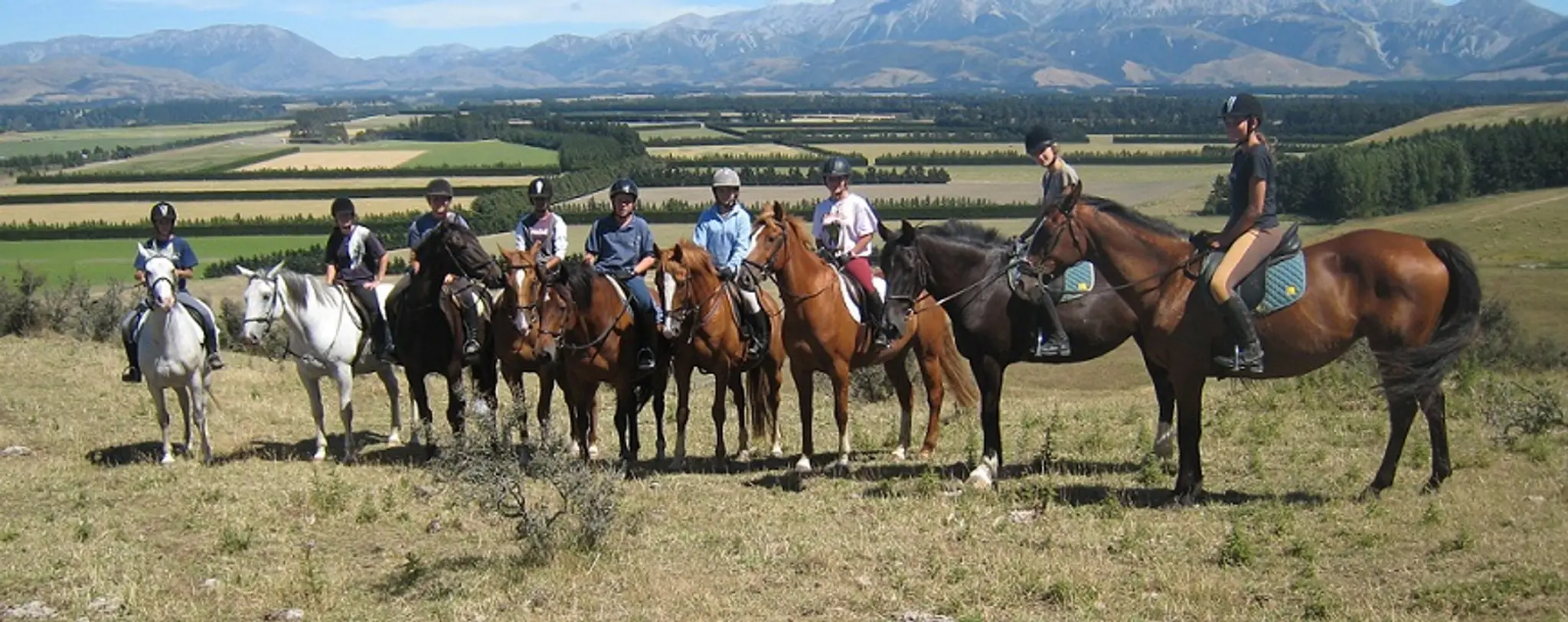Kowhai Residential School of Riding ltd
