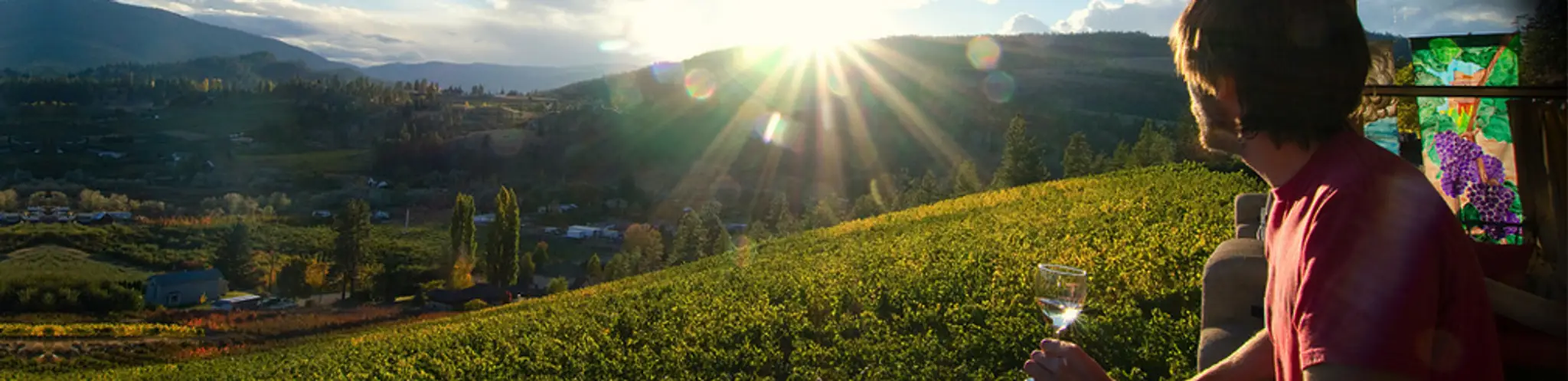 Dale Meadows Sports Field