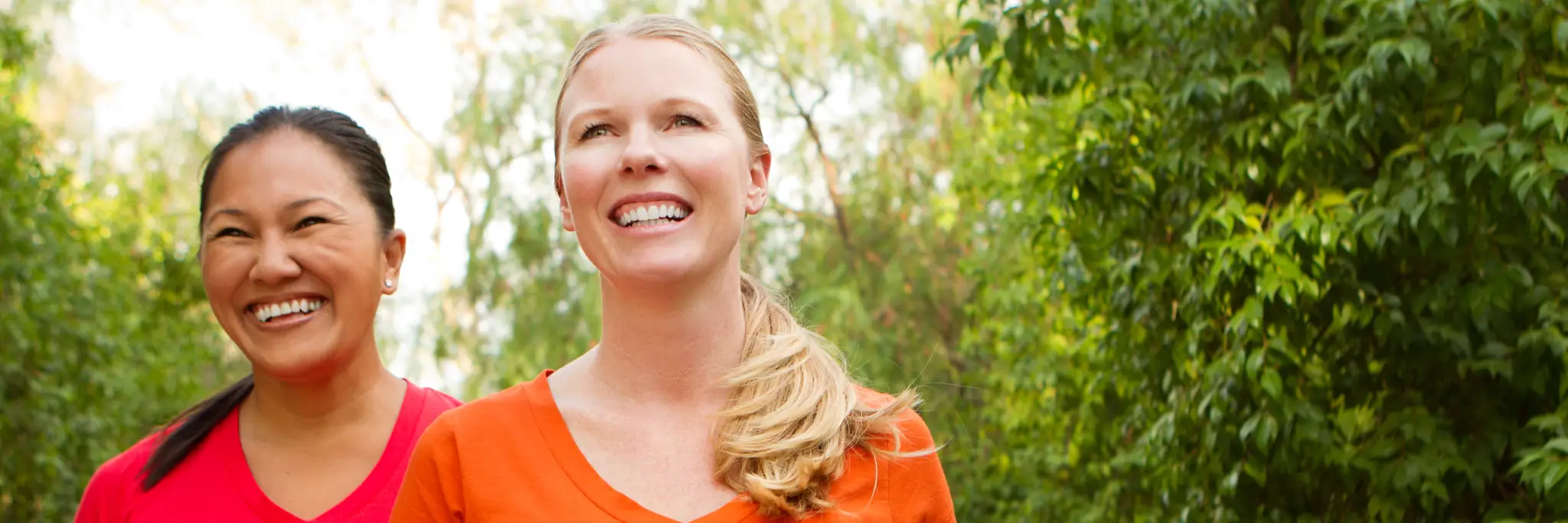 Enmore Energisers Walking Group