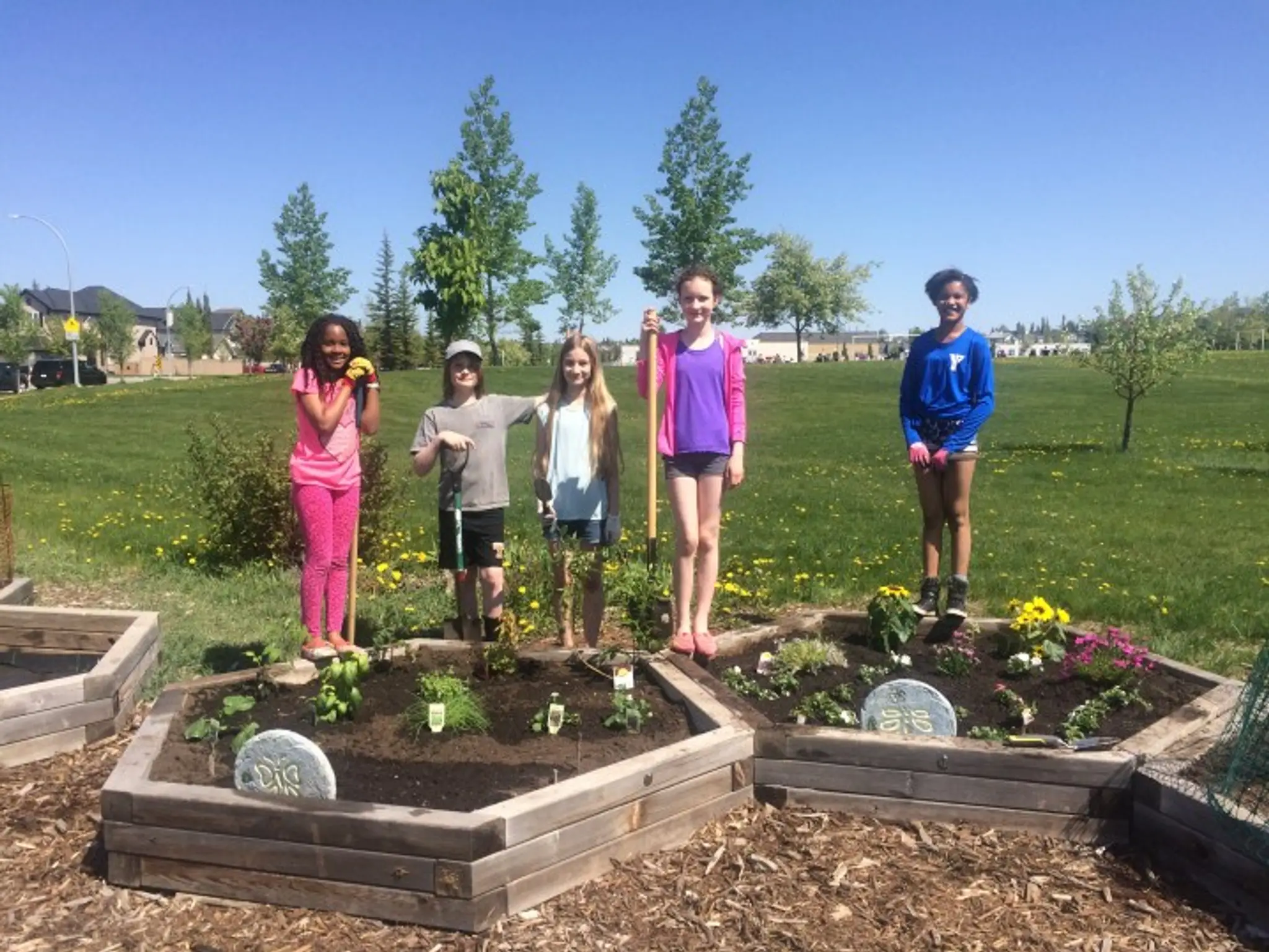 Tuscany Community Association Skating Rink