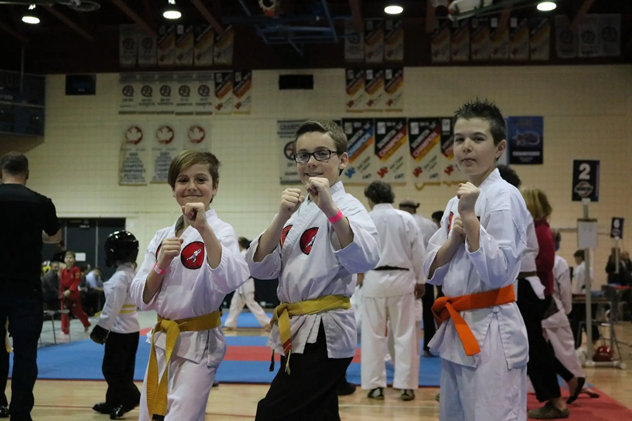 ACADEMIE D'ARTS MARTIAUX SHINKOSEI