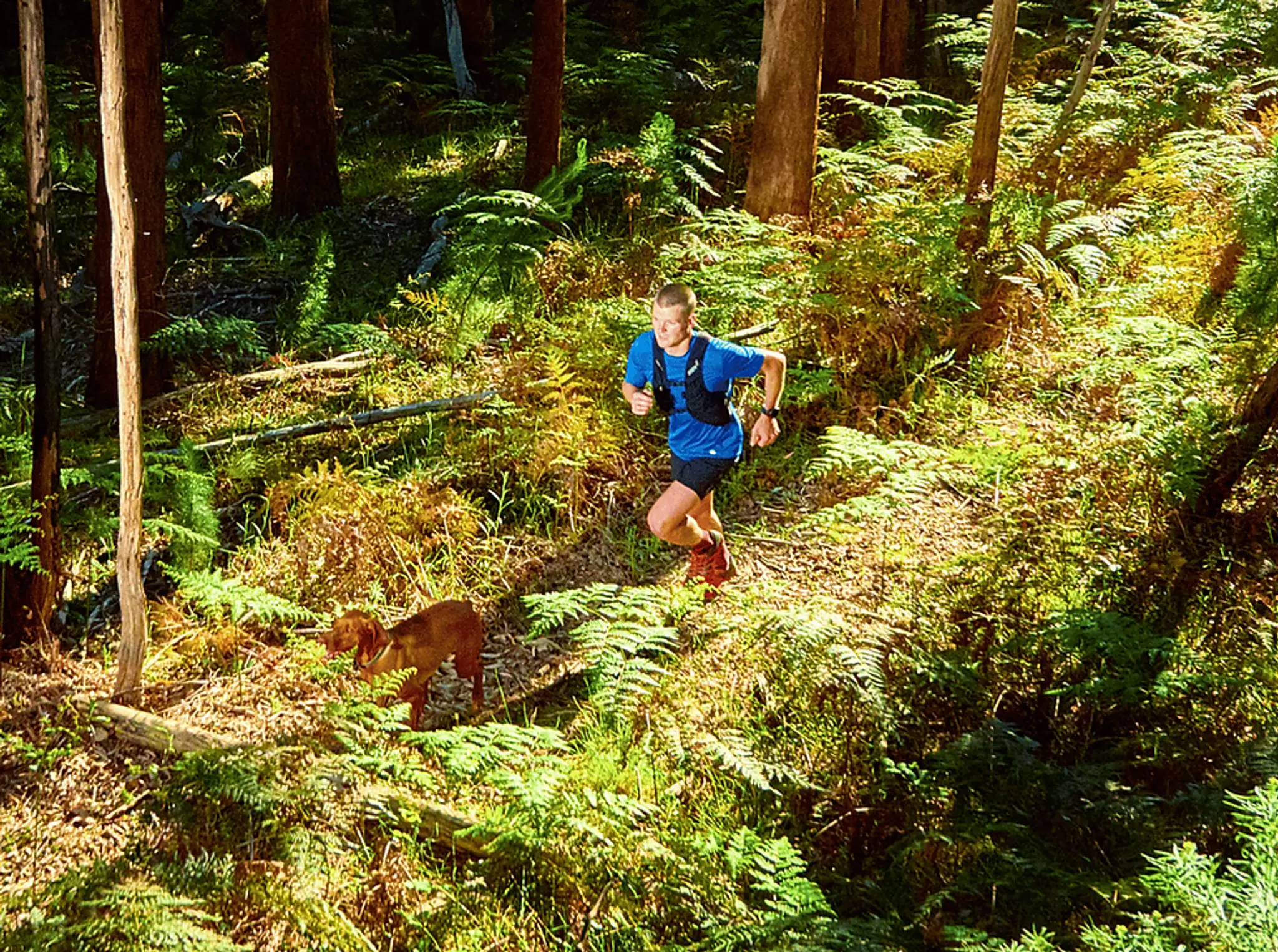 Mystic Mountain Bike Park