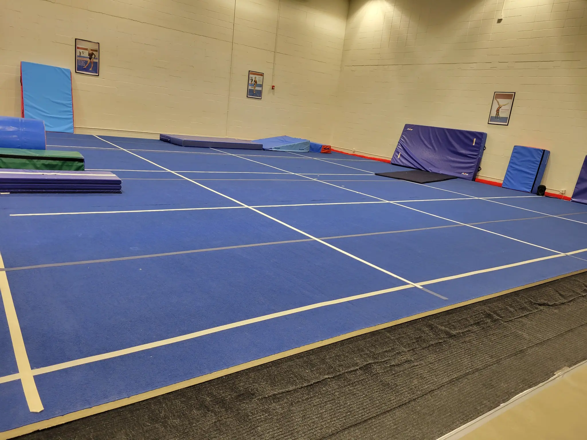 Fort Gymnastics Club