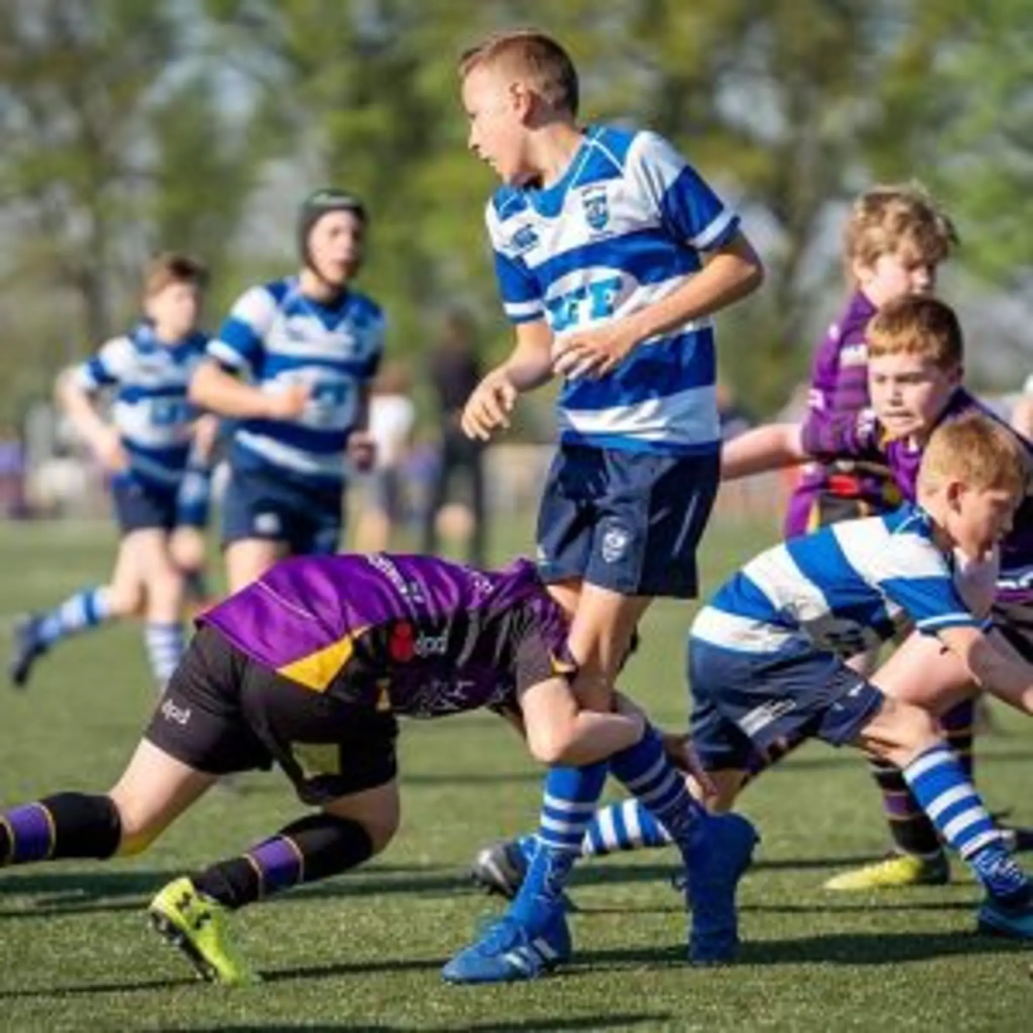 Proper School of Sport