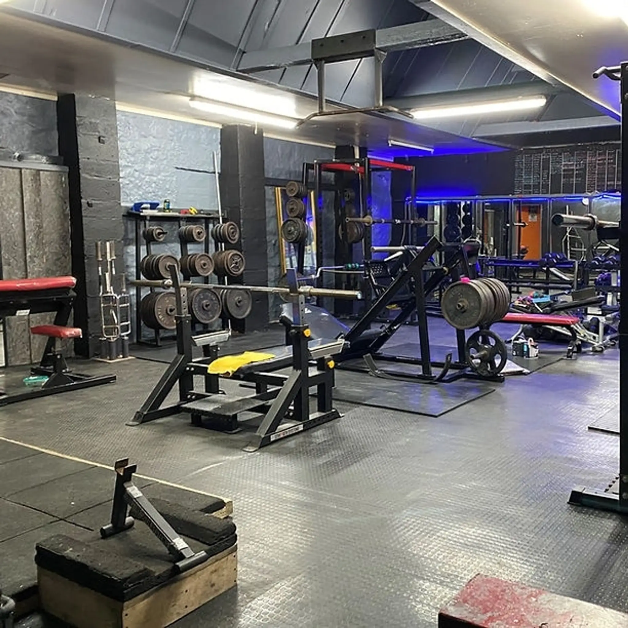 Arena strength and fitness gym