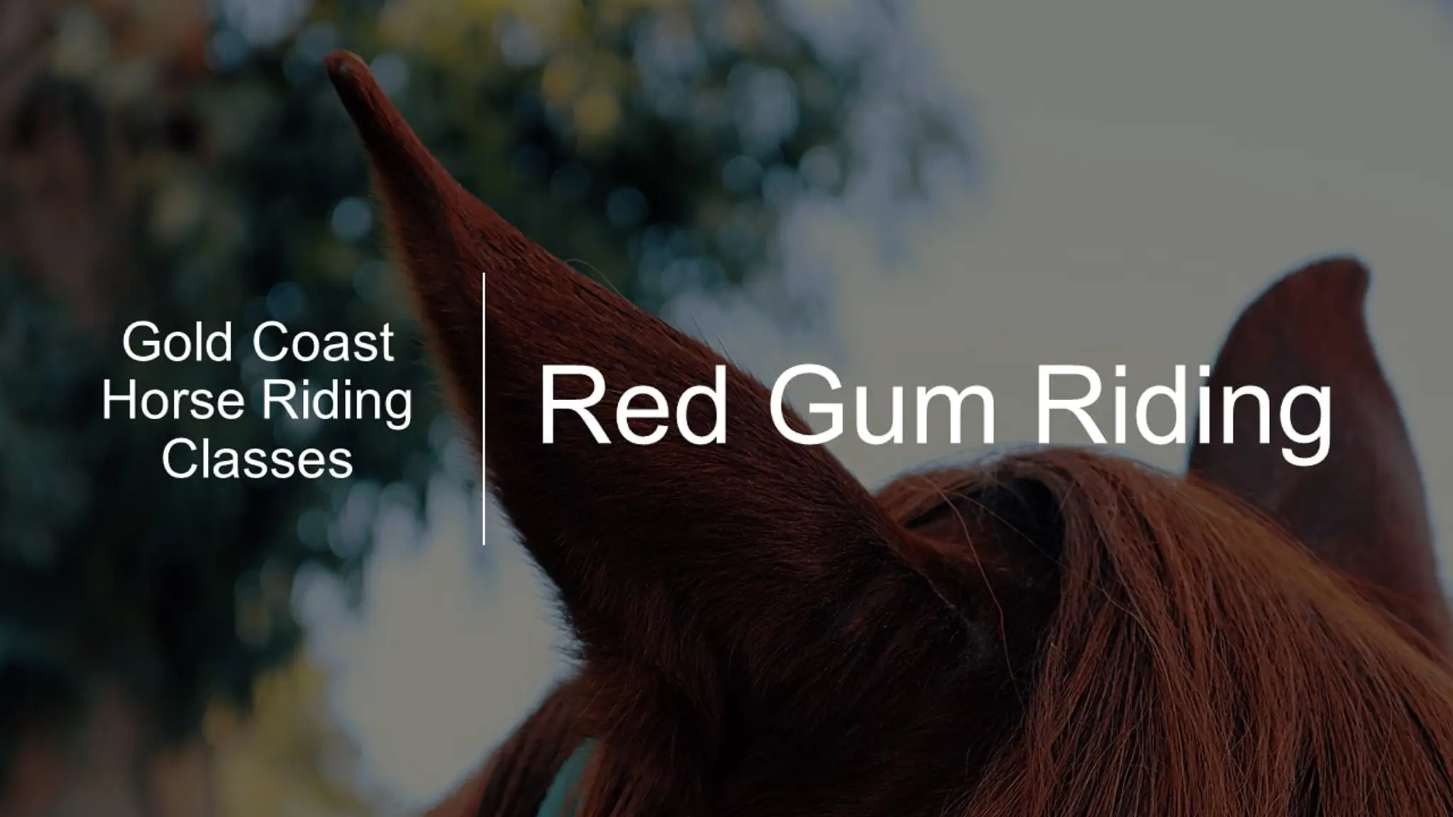 Red Gum Riding
