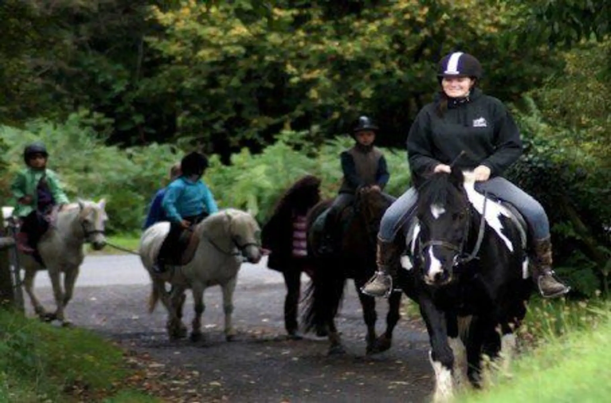 Greenmeadow Riding Centre