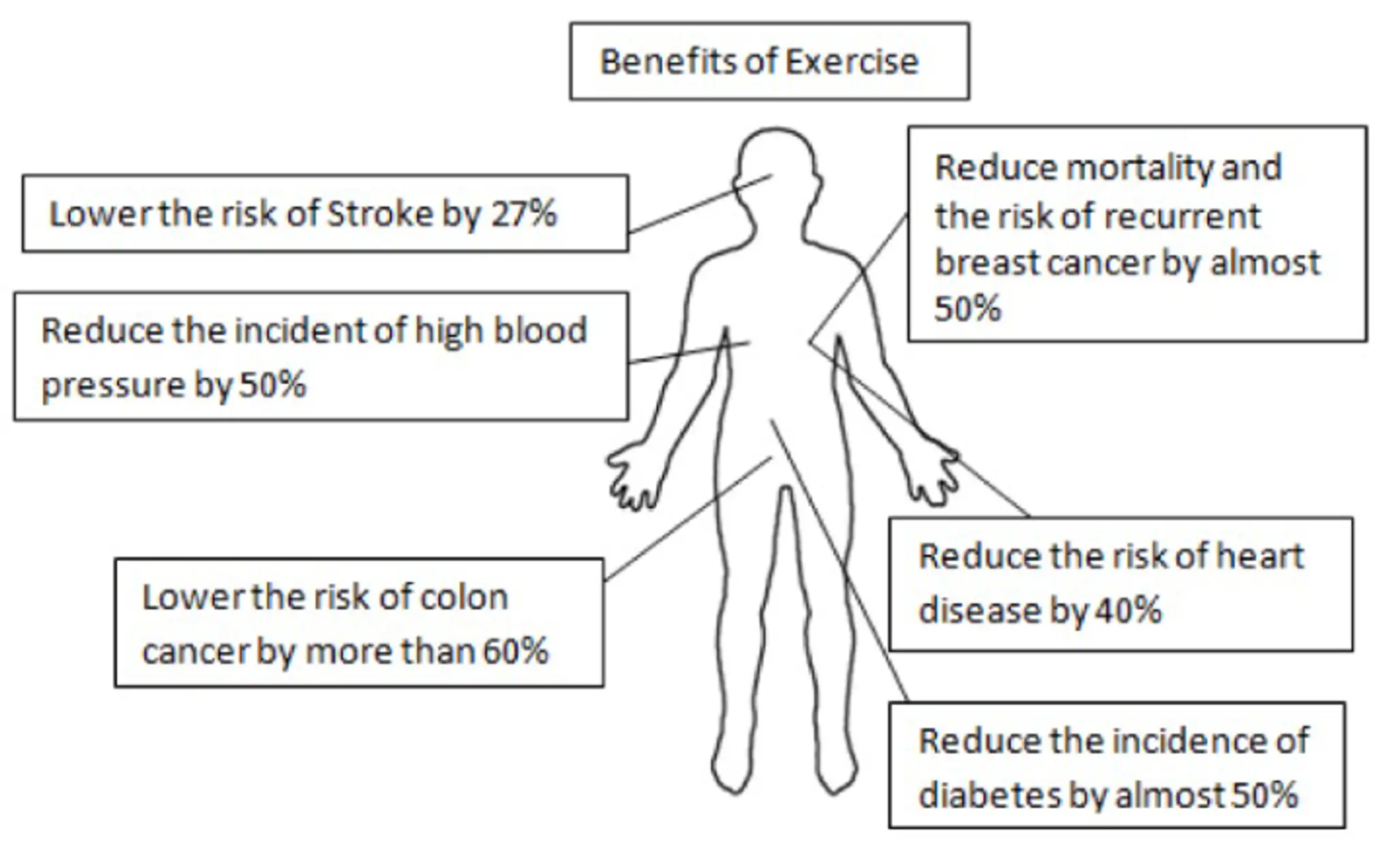 Home-Based Rehab (Exercise Physiology - Sydney)