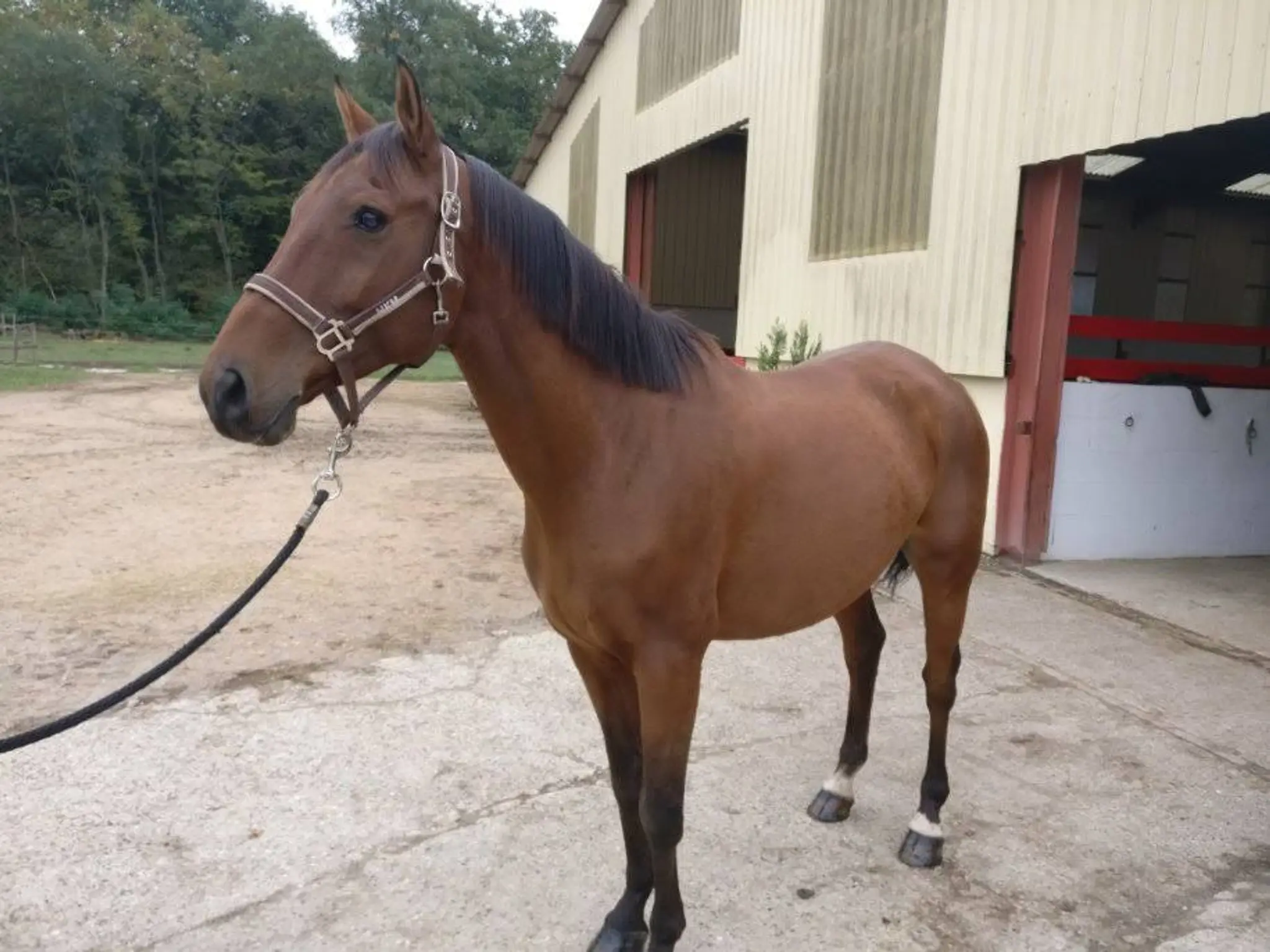 Centre Equestre La Tuilerie
