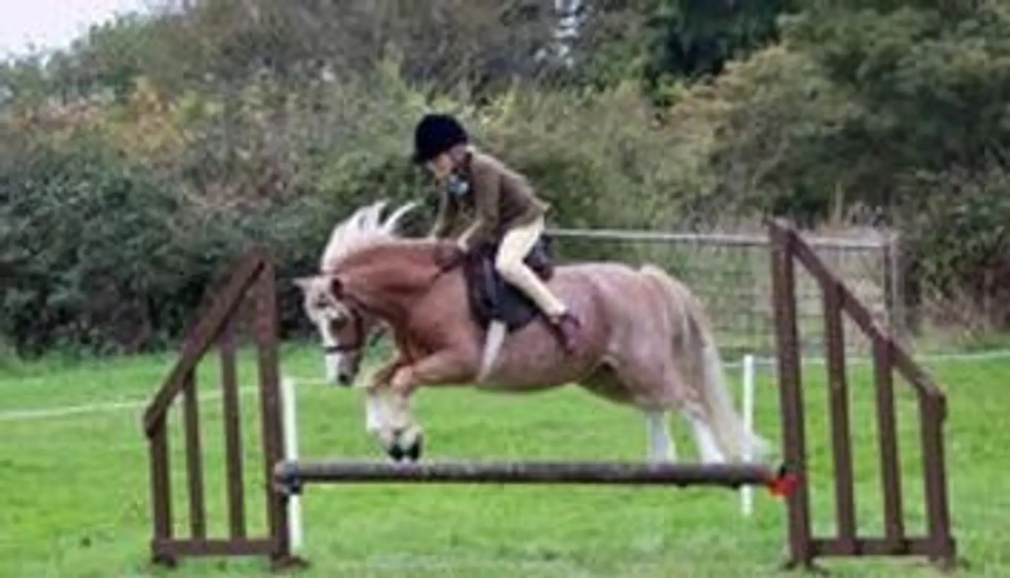 Saddlers Riding Club