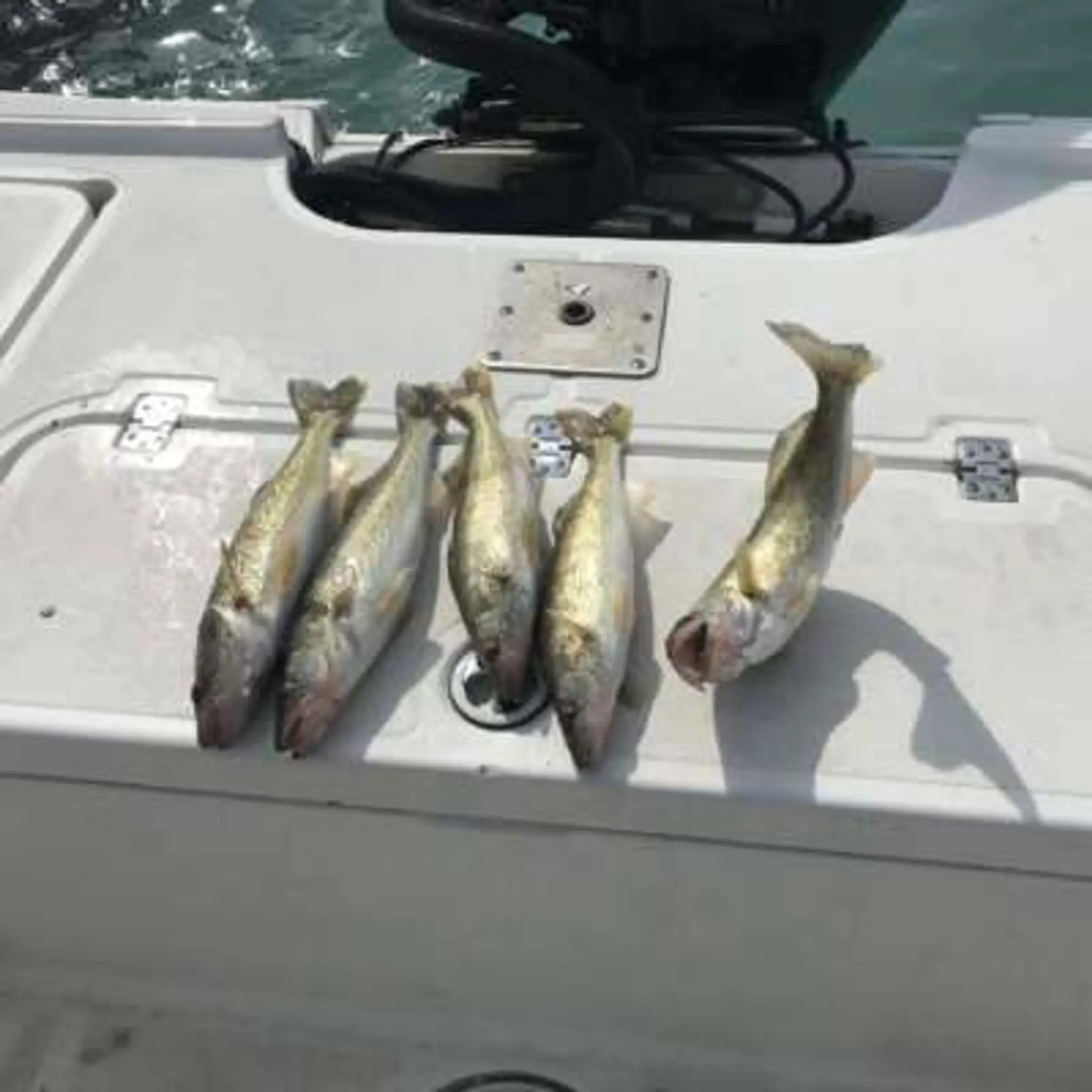 TwinBridge Fishing Charters