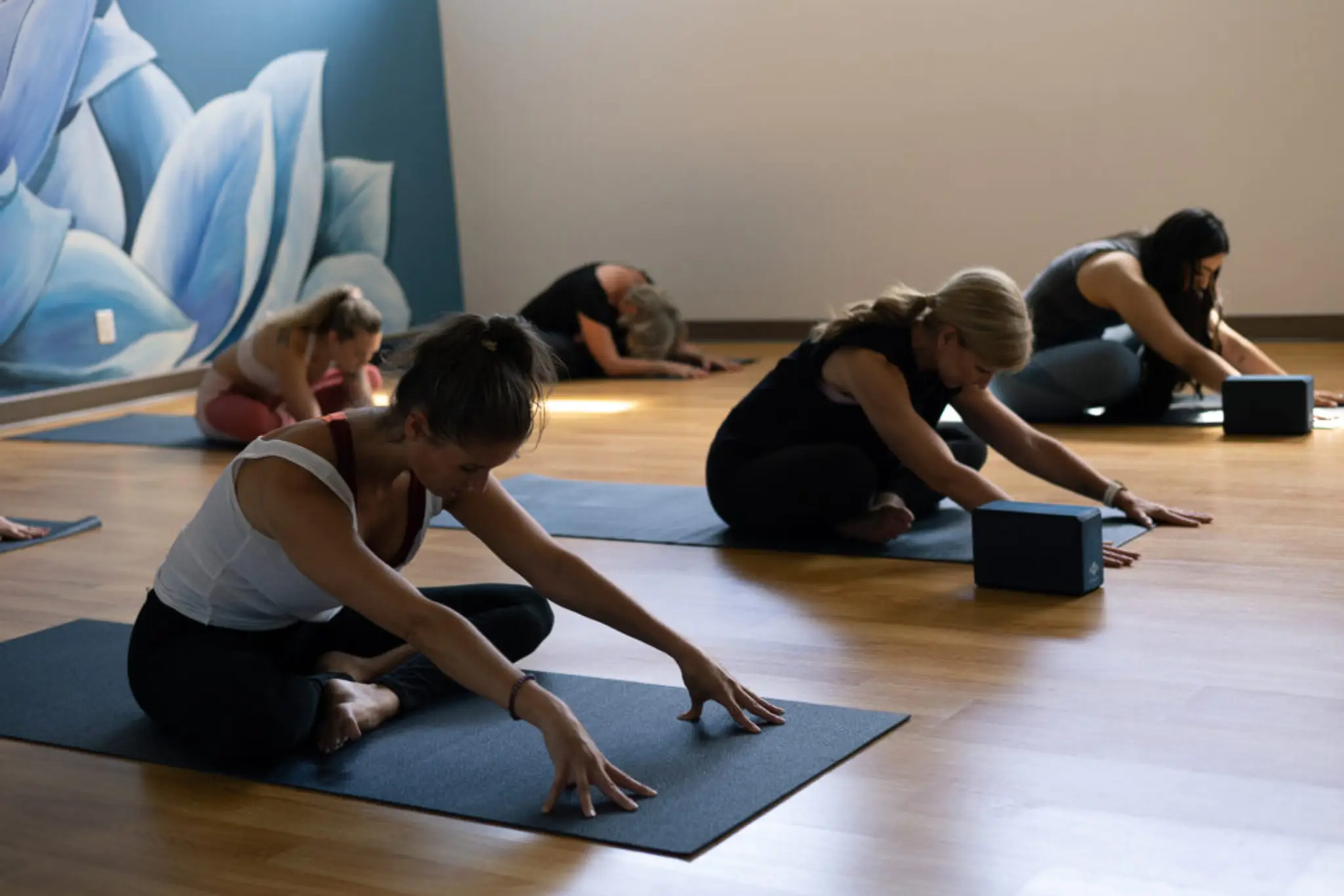 Evolution Pilates & Yoga Studio's Ltd