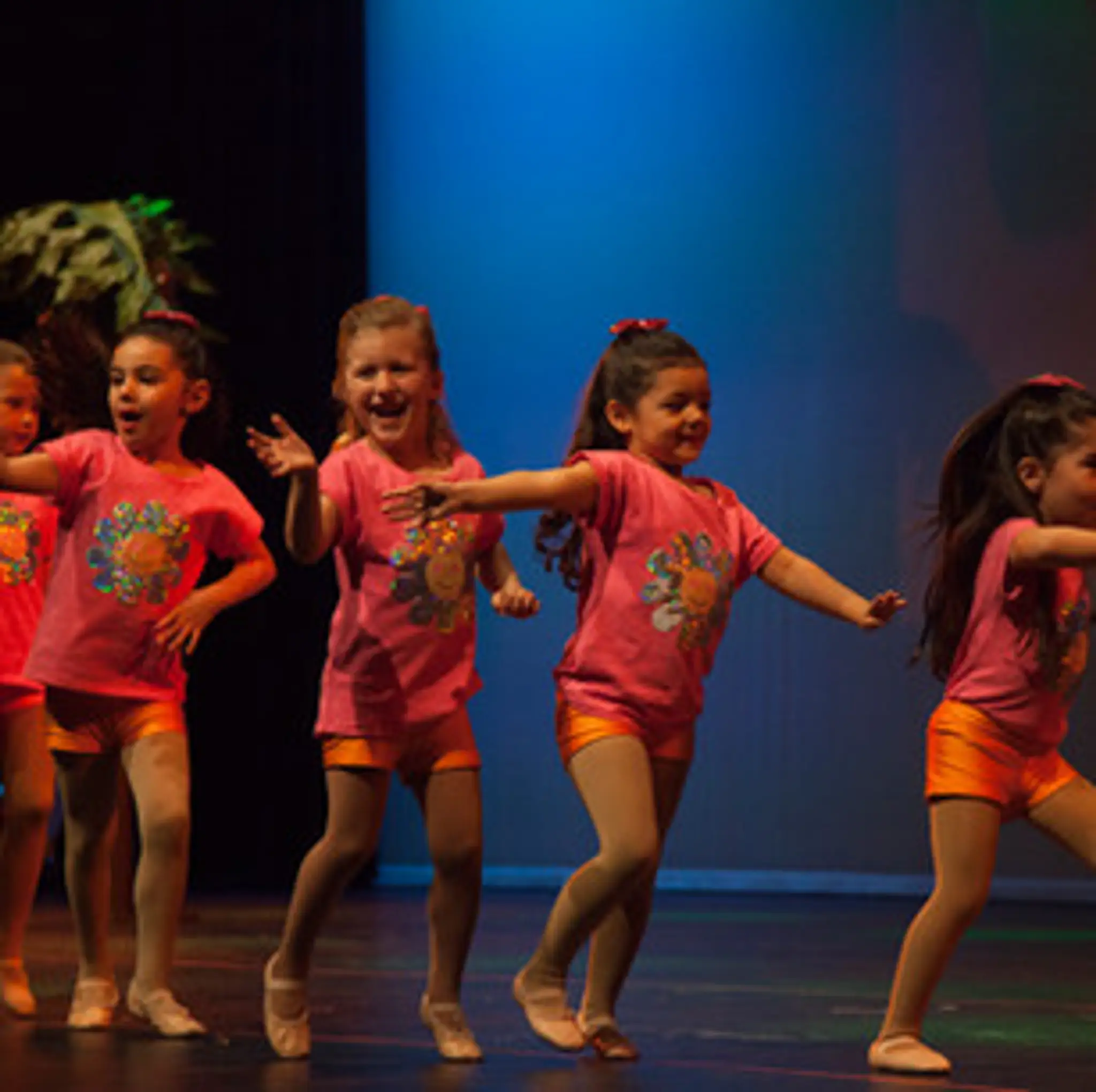 Dare To Shine Dance Studio Earlwood